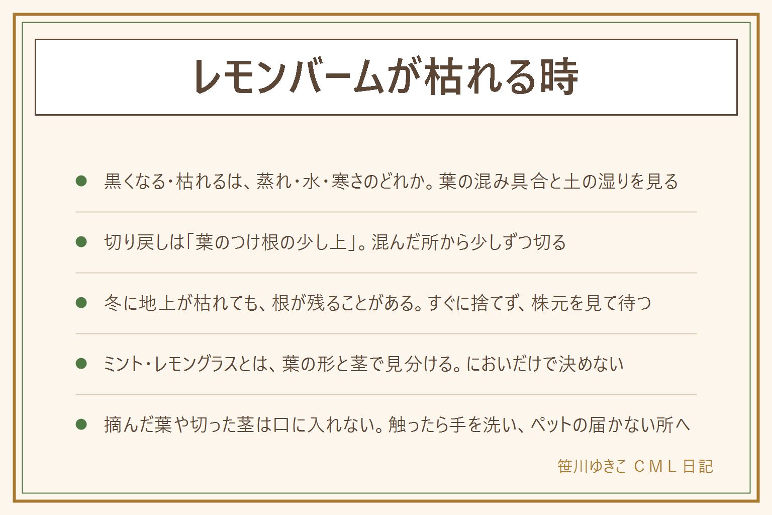レモンバームが枯れる時の早見表:黒くなる、枯れる、ぐったりするのは、夏の蒸れ、水の過不足、寒さで葉が傷んだのどれかが多い。混んだ茎は葉のつけ根の少し上で切り戻して風を通す。冬に地上が枯れても根が残ることがあるので株元を見て待つ。ミントは種類が多く香りが違う、レモングラスは細長い草、レモンバーベナは細い葉の低木、レモンバームは広い葉でしわがあり四角っぽい茎。摘んだ葉や切った茎は口に入れず、触ったら石けんで手を洗い、子どもとペットの届かない所に置く。ベランダは手すりの外に出さず管理規約を確かめる