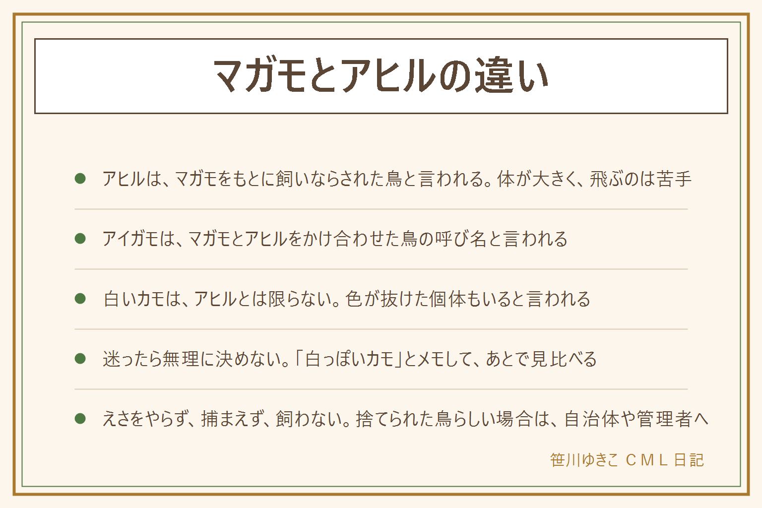 マガモとアヒルの違いの早見表:アヒルはマガモをもとに人が飼いならした鳥と言われる。マガモはカラスくらいの野生のカモでよく飛び、オスは頭が緑で首に白い輪、メスは茶色のまだら。アヒルは体が大きく重たげで、うまく飛べないことが多く、白が多いが茶色や灰色の個体もいる。アイガモはマガモとアヒルをかけ合わせた鳥の呼び名と言われる。白いカモはアヒルとは限らず、色が抜けた個体もいる。迷ったら無理に決めない。えさ(パンを含む)をやらない、捕まえない、飼わない、捨てられた鳥らしい時は自治体や公園の管理者へ。柵の外に出ない、子どもは大人と一緒、犬は短いリードで