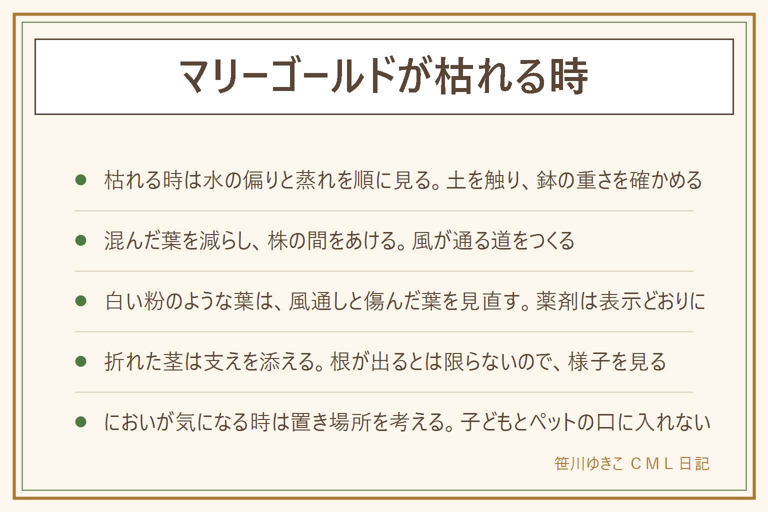 マリーゴールドが枯れる時の早見表:株ごと枯れる時は水の偏りと蒸れを見る。土を指で触り鉢を持ち上げて重さを確かめ、水は株元に静かに与える。下の葉から枯れる時は混んだ葉を減らして株の間をあけ、鉢底の水はけも確かめる。葉が白い粉をふいたように見える時は風通しと傷んだ葉を見直し、薬剤は製品の表示どおりに換気して子どもとペットを近づけない。茎が折れた時は細い支柱を添えてゆるく結ぶ、折れた先は水に挿す人もいるが根が出るとは限らない。独特のにおいが気になる時は窓の近くや人の通る場所を避け、作業後は手を洗う。傷んだ葉は子どもとペットの口に入らない所へ。集合住宅の花壇は管理規約が先