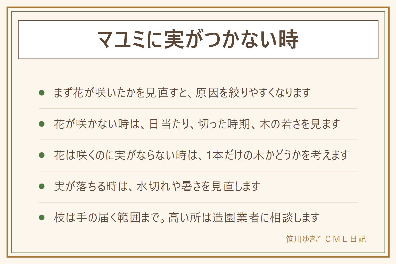 マユミに実がつかない時の早見表:まず花が咲いたかどうかを見る。花が咲かない時は日当たり、切った時期、植えて間もない若い木を見直す。花は咲くのに実がならない時は、1本だけの木かどうか、花の時期の天気を考える。マユミは雄株と雌株があると言われ、近くに別の木があると実がつきやすいことがある。実が落ちる時は水切れや暑さを見直す。枝は手の届く範囲まで手袋をして切り、脚立に乗らず、高い所は造園業者に相談する。実や葉や花は口に入れず、子どもとペットに注意する。
