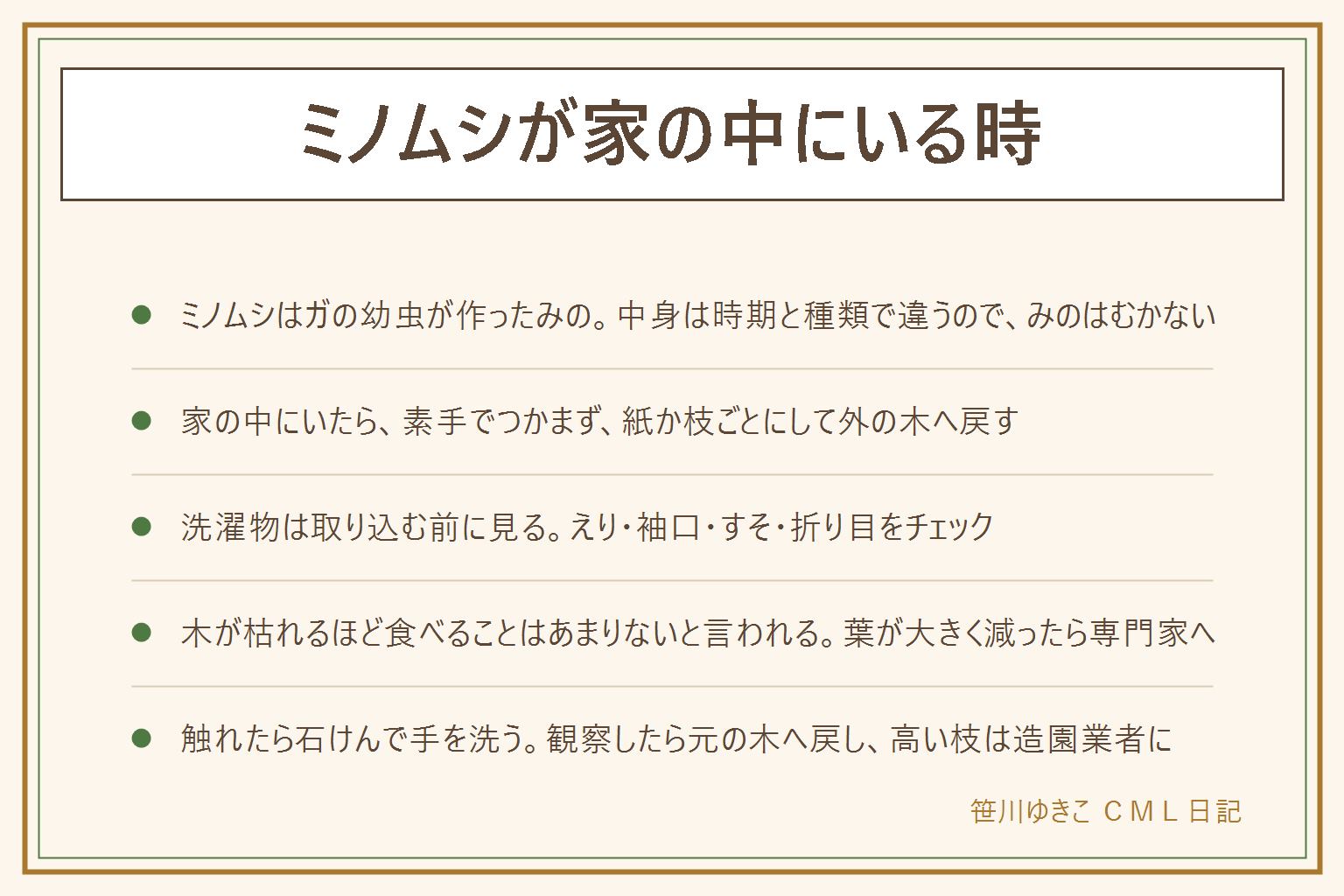 ミノムシが家の中にいる時の早見表:ミノムシはガの幼虫が葉や小枝で作ったみのの中にいる姿で、みのは中の虫の家なのでむかない。家の中にいた時は素手でつかまず、紙か、みののついた枝ごとにして外の木へ戻す。洗濯物は取り込む前にえり、袖口、すそ、折り目を見る。木が枯れるほど食べることはあまりないと言われ、葉が大きく残っているなら様子を見る。葉が大きく減る、数が多い時は木の専門家や自治体に相談し、高い枝は造園業者へ。子どもが観察したい時は小さな虫かごで短時間見て元の木へ戻す。触れたら石けんで手を洗い、目や口をこすらない。集合住宅や公園、私有地は決まりを守る。