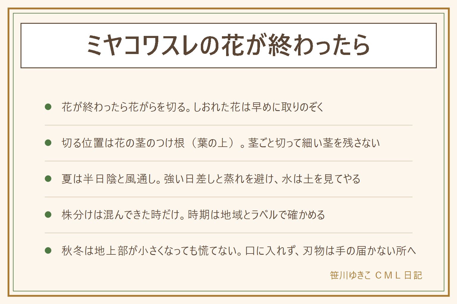 ミヤコワスレの花が終わったらの早見表:花が終わったら花がらを早めに切る。切る位置は花の茎のつけ根(葉の上)で、茎ごと切って細い茎を残さない。花ばさみは刃先を外に向け、使ったら子どもの手の届かない所へ。夏は半日陰で風を通し、強い日差しと西日を避ける。水やりは日数で決めず、土の表面が乾いたら朝か夕方に株元へ。株分けは株元が混んで花が減った時だけ考え、時期は地域とラベルで確かめる。秋から冬は地上部が小さくなっても慌てず株元の芽を見る。観賞用の草花は口に入れず、猫や犬がかじらないよう注意し、公園の株は持ち帰らない