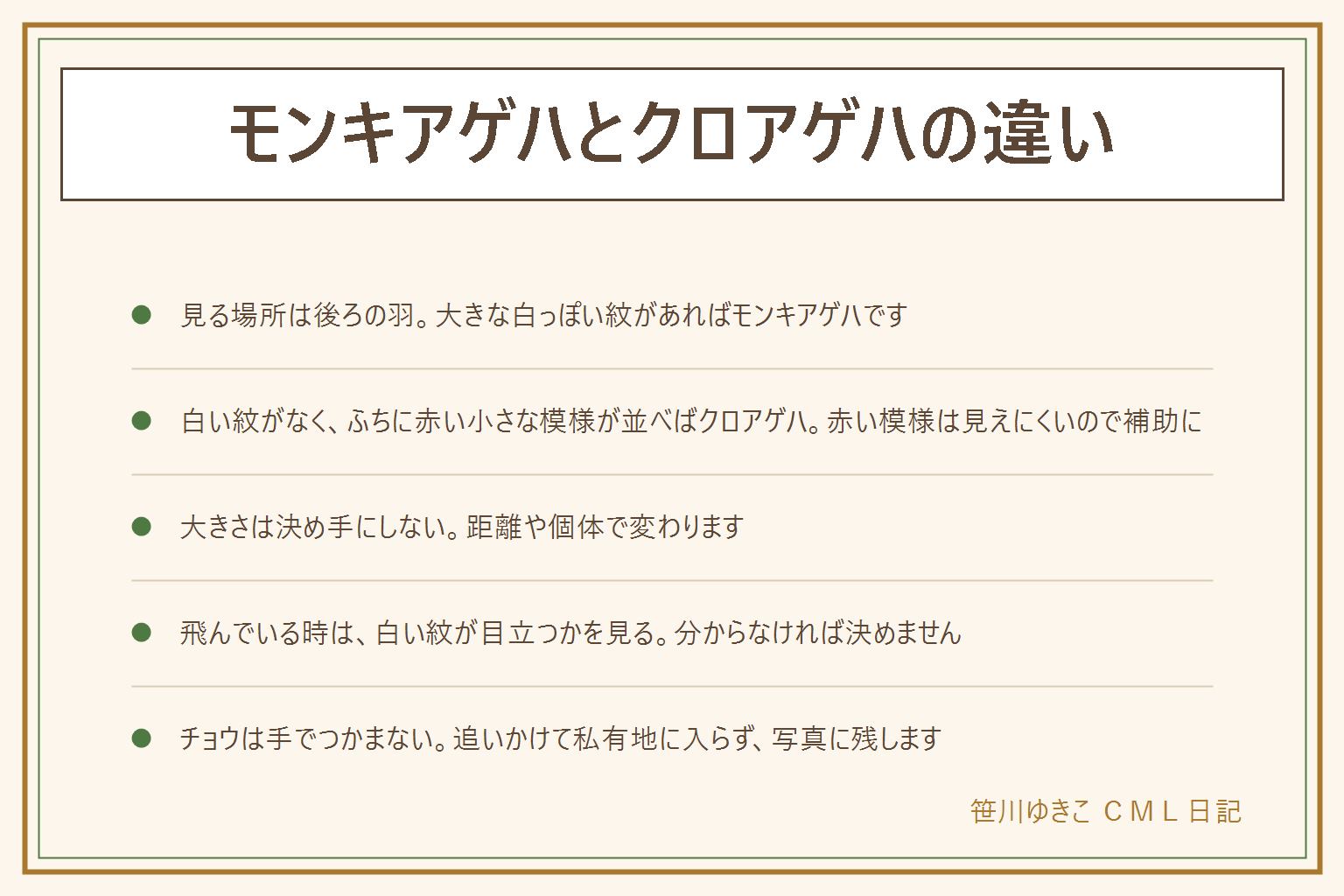 モンキアゲハとクロアゲハの違いの早見表:見る場所は後ろの羽。大きな白っぽい紋がはっきりあればモンキアゲハ、大きな白い紋がなく、ふちに赤い三日月形の小さな模様が並べばクロアゲハ。赤い模様は小さく飛んでいると見えにくいので補助、大きさも距離や個体で変わるので決め手にしない。飛んでいる時は白い紋が目立つかを見る。迷ったら離れて後ろの羽を写真に撮り、図鑑と見比べる。チョウは手でつかまない、追いかけて花壇や私有地に入らない、卵や幼虫は触らず持ち帰らない。赤い紋と体の赤い毛はジャコウアゲハ、黄色いアゲハはキアゲハ