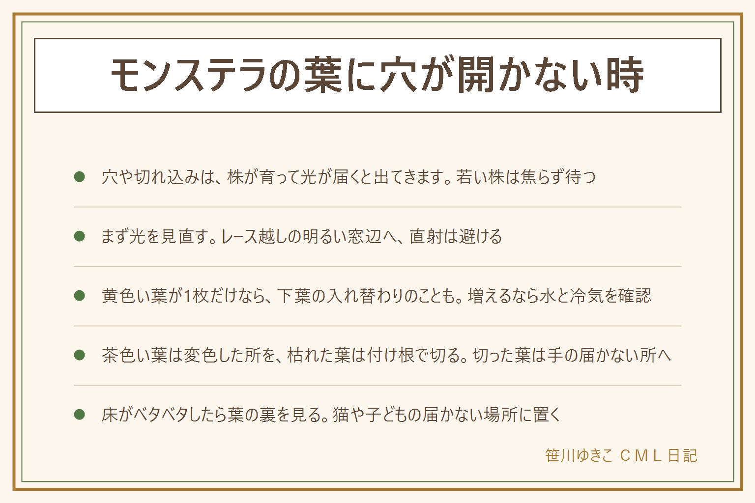 モンステラの葉に穴が開かない時の早見表:切れ込みや穴は株が育って光が届くと出てくる。株の大きさ・光・水・鉢の4点を見直す。置き場所はレースのカーテン越しの明るい窓辺で、直射と暗い部屋の奥と風の直撃は避ける。黄色い葉が1枚だけなら下葉の入れ替わりのことがあり、増えていく時は水の多い少ないと冷気を確認する。茶色い葉は変色した所を切り、全体が枯れた葉は付け根で切る。冬は窓辺の冷えと暖房の風に注意し、水は鉢の重さと土の乾きを見て少なめに。床がベタベタする時は葉の裏の虫を確認し、虫食いの穴はギザギザで不ぞろい。猫や子どもが葉をかじらない場所に置き、口に入れたら医療機関や中毒の相談窓口へ