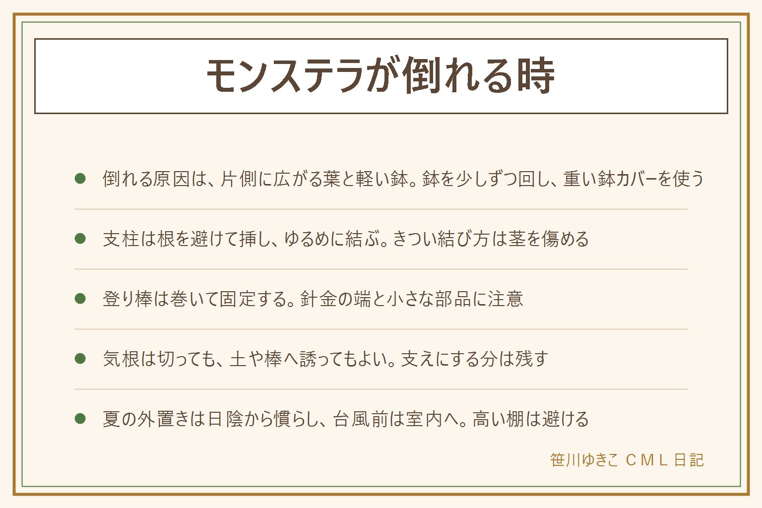モンステラが倒れる時の早見表:倒れる原因は葉が片側に広がって重心がずれることと鉢が軽く小さいこと。鉢を少しずつ回し、重い鉢カバーを使う。支柱は根を避けて挿し、茎に沿わせて、ゆるめに結ぶ。登り棒は丈夫な棒に水苔やココヤシの繊維を巻いて固定し、針金の端は折り込んで手袋で作業する。気根は邪魔なら切っても、土や棒へ誘ってもよい。夏の外置きは日陰から慣らし、強風や台風の前は室内へ。高い棚やぐらつく台、ベッドやソファの上、通り道を避け、倒れても人やペットに当たらない位置に置く。葉や気根は子どもとペットの口に入らないようにする
