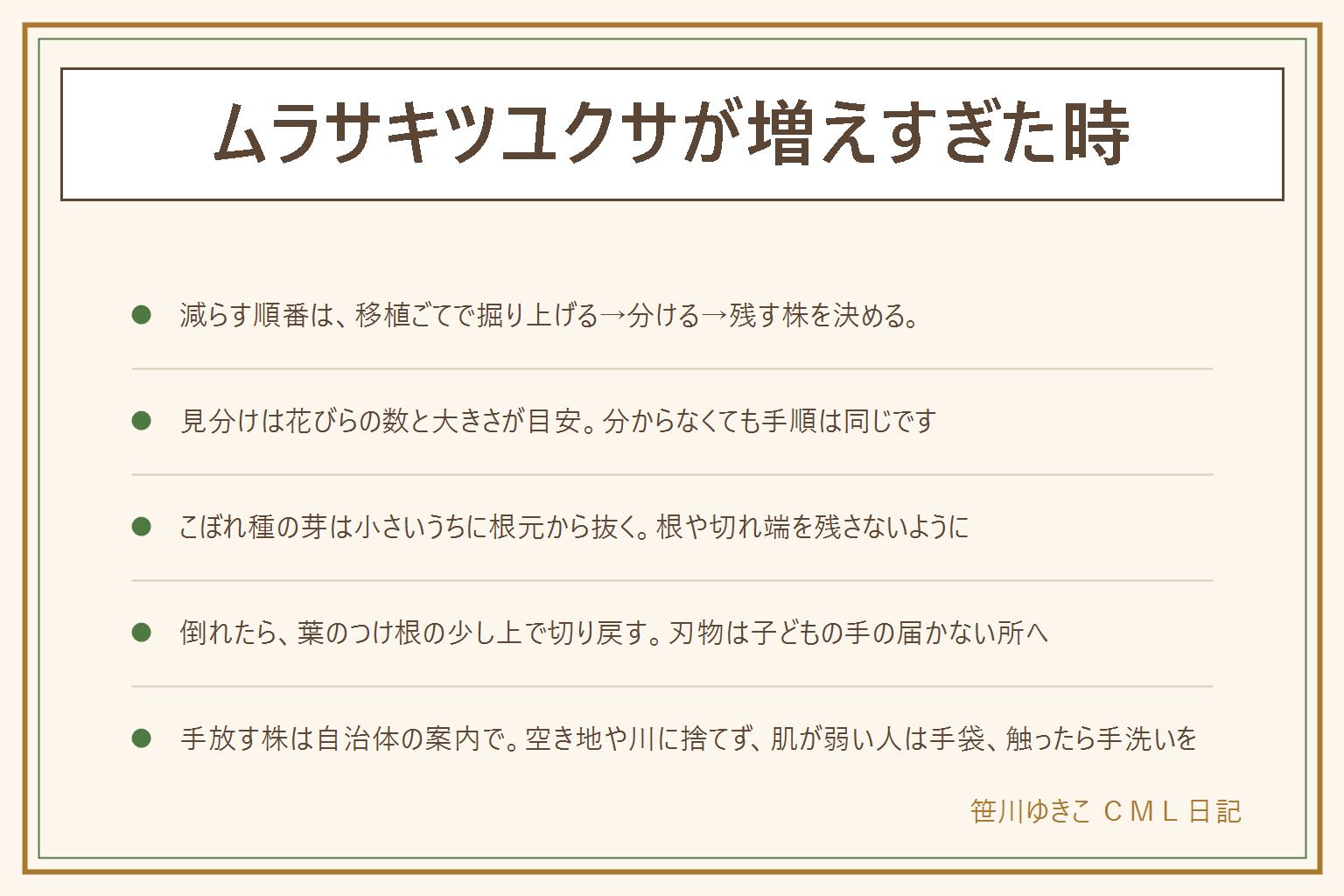 ムラサキツユクサが増えすぎた時の早見表:株を減らす順番は、移植ごてで掘り上げる、分ける、残す株を決める。上から刈るだけでは根が残る。オオムラサキツユクサは大柄で葉が幅広めと言われ、花びらは3枚が目安、ツユクサは青い花で大きな花びらが2枚に見える別の草。こぼれ種の芽は小さいうちに根元から抜き、根や切れ端を残さない。倒れたら花が終わったところで、葉のつけ根の少し上で切り戻す。手放す株は空き地や川に捨てず、自治体の案内に従い、共用部の花壇は管理規約と管理会社へ。肌が弱い人は手袋、触ったら手を洗い、口に入れない、子どもとペットの手の届かない所に置く