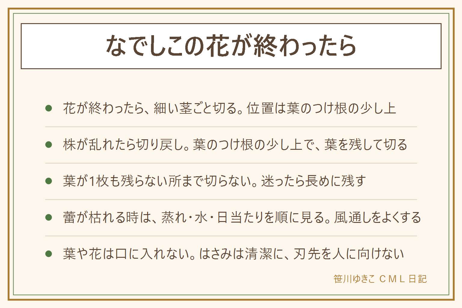 なでしこの花が終わったらの早見表:切る位置はいつでも葉のつけ根の少し上。花が茶色くしぼんだら花がら摘みで、花を支える細い茎ごと切る。株が伸びて乱れたら切り戻しで、伸びた茎を葉のつけ根の少し上で切る。葉が1枚も残らない所まで切らない。蕾が茶色く枯れる時は蒸れ、水の過不足、日当たり不足を順に見直し、風通しをよくする。夏は鉢の間をあけ、台で少し浮かせ、雨の当たりにくい場所へ。一年草か多年草かは品種で違うのでラベルで確かめる。葉や花は子どもが口に入れないよう手の届かない所へ。はさみは清潔にして刃先を人に向けない