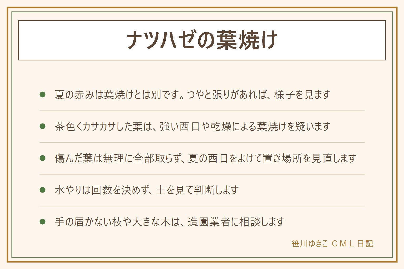 ナツハゼの葉焼けの早見表:ナツハゼは夏から葉に赤みが出ることがあり、それは葉焼けとは別。葉焼けは強い西日や乾燥で、葉のふちや日の当たる面が茶色くカサカサになる。半日陰で、土が乾きすぎない場所が合う。傷んだ葉は無理に全部取らず、夏の西日をよける。鉢なら置き場所を変え、遮光ネットも使える。水やりの回数は断定せず土を見る。実は口に入れない。大きな木は造園業者に相談する