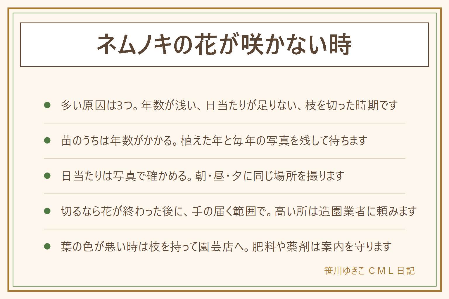 ネムノキの花が咲かない時の早見表:多い原因は3つ。植えてからの年数が浅い、日当たりが足りない、花の芽ができる時期に枝を切った。苗のうちは花が咲くまで年数がかかることがあるので、植えた年と毎年の写真を残して待つ。日当たりは朝・昼・夕に同じ場所を撮って確かめる。切るなら花が終わった後に、手の届く範囲で、手袋をして、刃先を体に向けない。高い所の剪定や木を倒す作業は造園業者へ。葉の色が悪い、枯れた枝が多い時は枝を持って園芸店へ相談し、肥料や薬剤は案内を守る。花や葉は口に入れない、子どもやペットに注意