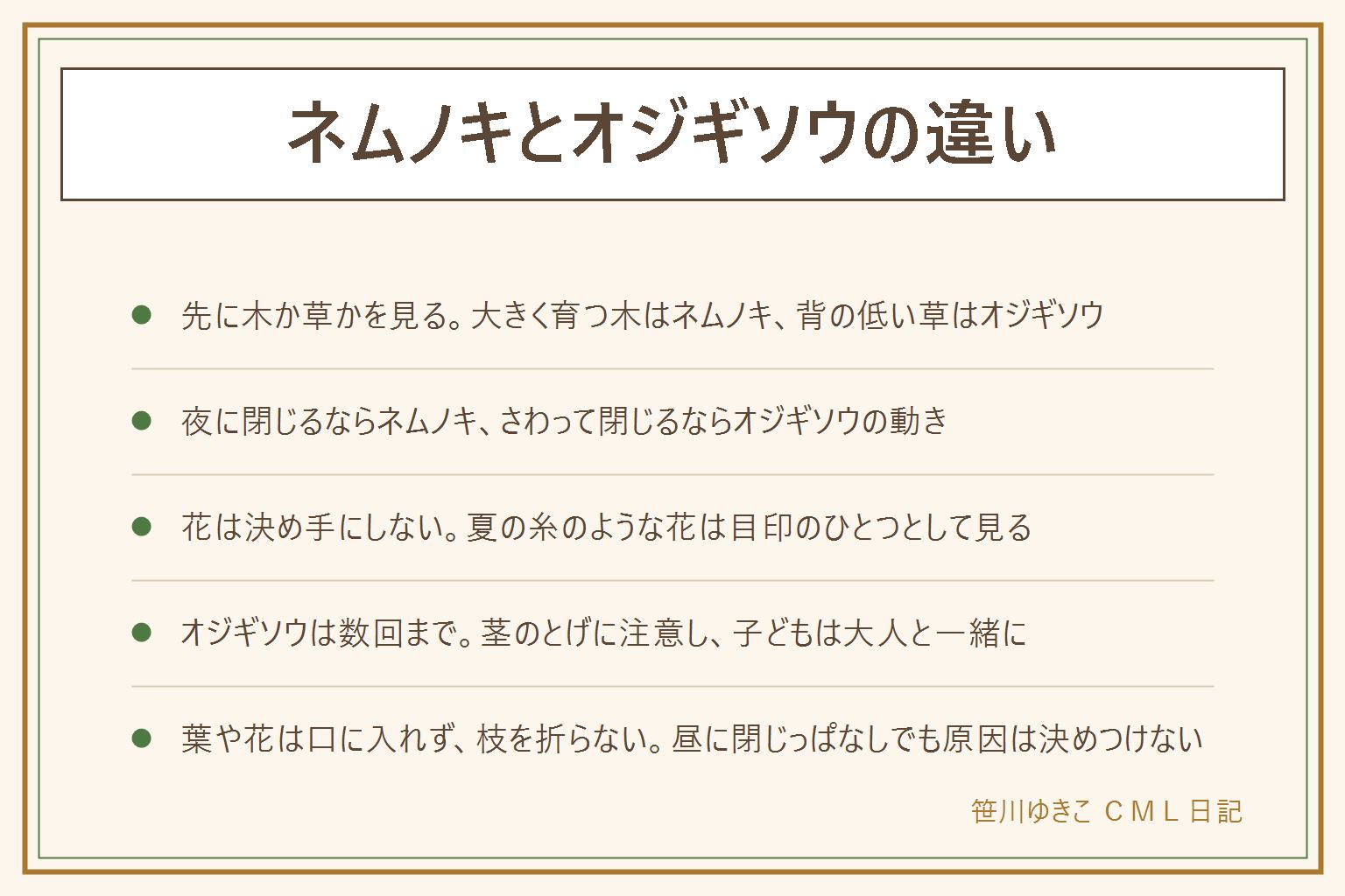 ネムノキとオジギソウの違いの早見表:ネムノキは大きく育つ木で、夜になると葉を閉じ、夏にふわふわした糸のような花が咲く。オジギソウは背の低い草で、さわると葉がすぐ閉じて下を向く。先に木か草かを見る、花は決め手にしない。昼に閉じっぱなしの時は原因を決めつけず、様子を見て園芸店や管理している自治体に相談する。オジギソウは何度もさわると弱りやすいので数回まで、茎にとげがあるので子どもは大人と一緒に。葉や花は口に入れない、枝を折らない、摘まない、私有地や立入禁止の場所に入らない