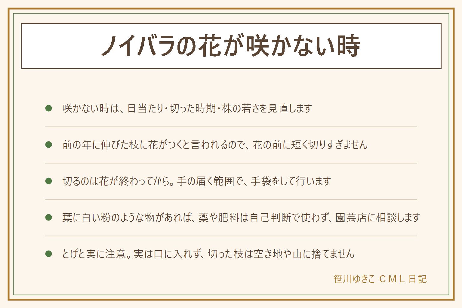 ノイバラの花が咲かない時の早見表:見直す点は日当たり、切った時期、株の若さの3つ。日陰では枝ばかり伸びることがある。ノイバラは前の年に伸びた枝に花がつくと言われるので、花の前に短く切りすぎると花が減ることがある。切るのは花が終わってから、手の届く範囲で、手袋をして。植えたばかりの株は育つのを待つ。葉に白い粉のような物が見える時は、薬や肥料を自己判断で使わず、葉や枝を持って園芸店に相談する。とげに注意して子どもを近づけず、実・葉・花は口に入れない。切った枝は空き地や山に捨てず、自治体の分別で出す
