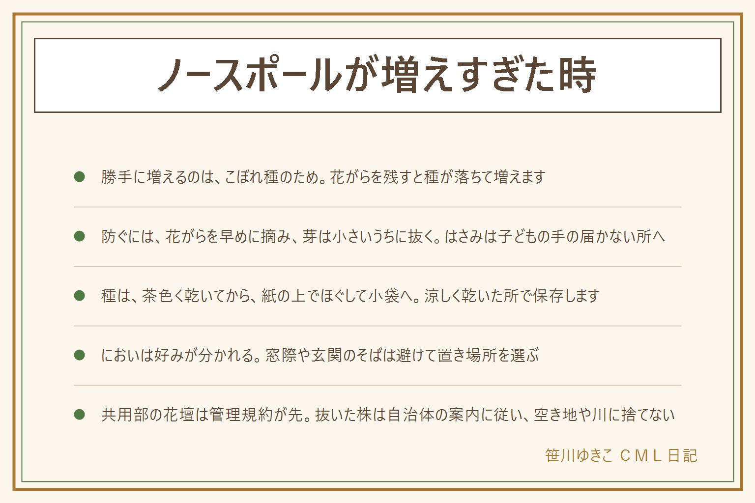 ノースポールが増えすぎた時の早見表:勝手に増えるのは花がらが種になって落ちるこぼれ種のため。増えすぎを防ぐには、花がらが茶色くなったら早めに花の根元から切り、出てきた芽は小さいうちに抜く。種を取る時は、花が茶色く乾いてから、紙の上でほぐして日陰で乾かし、小さなチャック付きの袋に入れて涼しく乾いた所に置く。においは好みが分かれるので、窓際や玄関のそばを避けて置き場所を選ぶ。花壇では手前や縁取りに使い、株の間をあける。共用部の花壇は管理規約が先で、抜いた株は自治体の案内に従う。花や葉や種は口に入れず、子どもとペットの手の届かない所へ