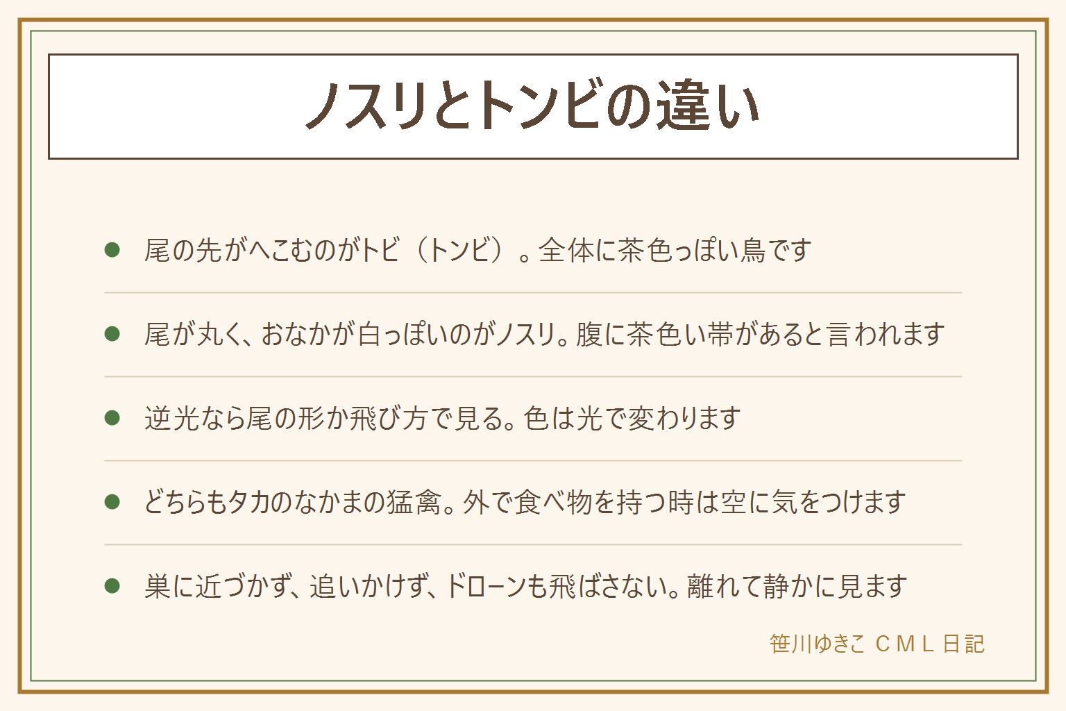 ノスリとトンビの違いの早見表:トビ(トンビ)は尾の先が少しへこみ、全体が茶色っぽい。ノスリは尾の先が丸く扇のような形で、おなかが白っぽく腹に茶色い帯がある。どちらもカラスより大きく見える。飛び方はトビが翼を広げて大きく回り、ノスリは翼をやや持ち上げて回りときどき羽ばたく。空中で止まる小さめの鳥はチョウゲンボウかもしれない。外で食べ物を持つ時は空に気をつける。猛禽の巣に近づかない、撮影のために追いかけない、ドローンを飛ばさない、えさをやらない、捕まえない