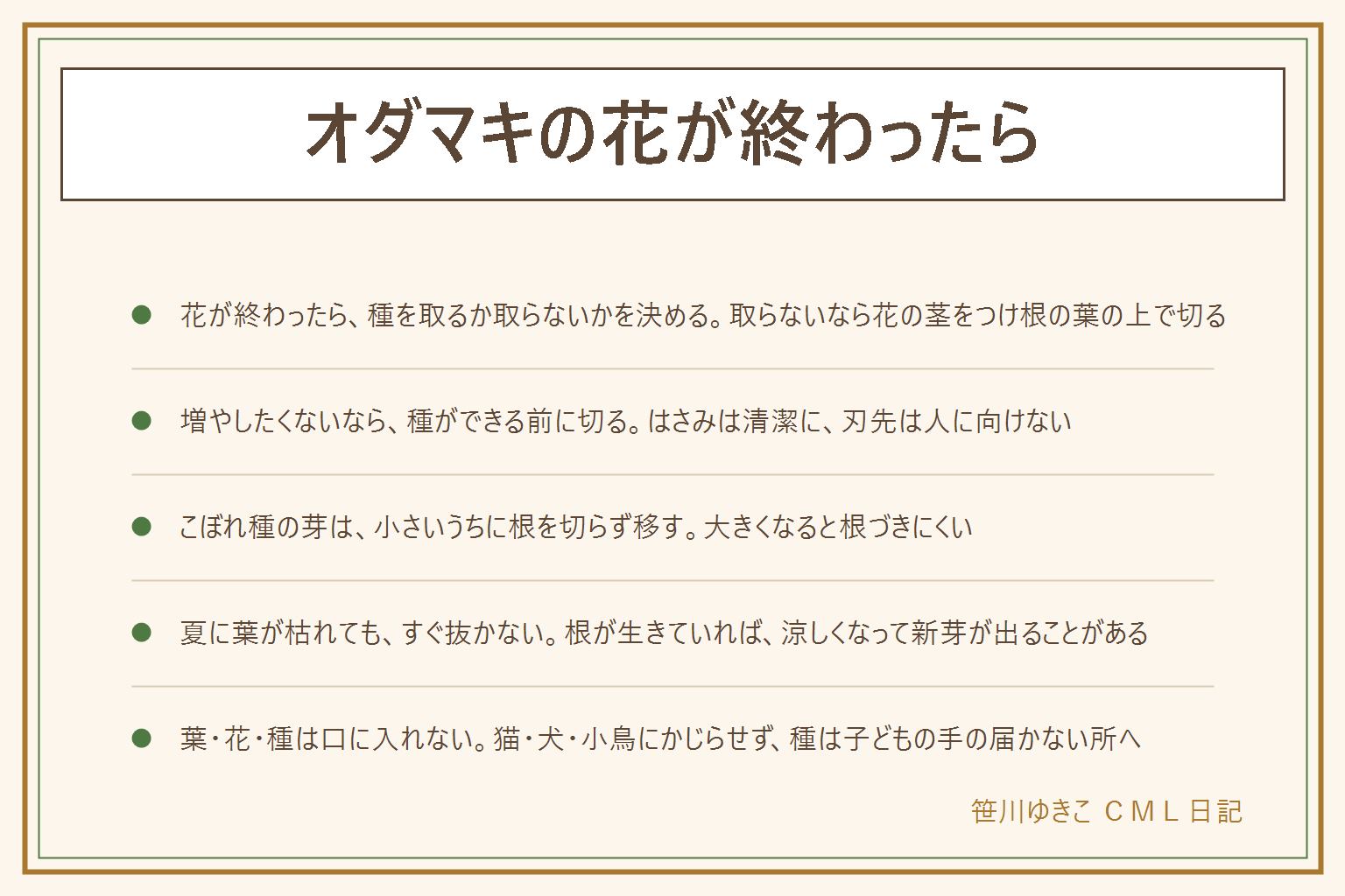 オダマキの花が終わったらの早見表:種を取るか取らないかで切り方が変わる。種を取りたい時は数本だけさやが茶色く乾くまで残す。取らない時や増やしたくない時は、種ができる前に花の茎をつけ根の葉のすぐ上で切り、はさみは清潔にして刃先は人に向けない。こぼれ種の芽は小さいうちに周りの土ごと根を切らずに移し、大きくなると根づきにくい。夏に地上の葉が枯れても根が生きていることがあるので、すぐ抜かず涼しくなるのを待つ。ほったらかしでもこぼれ種で増えるが、株の寿命は短めと言われる。葉・花・種は口に入れず、猫・犬・小鳥にかじらせない。取った種は小袋に入れて子どもの手の届かない所へ
