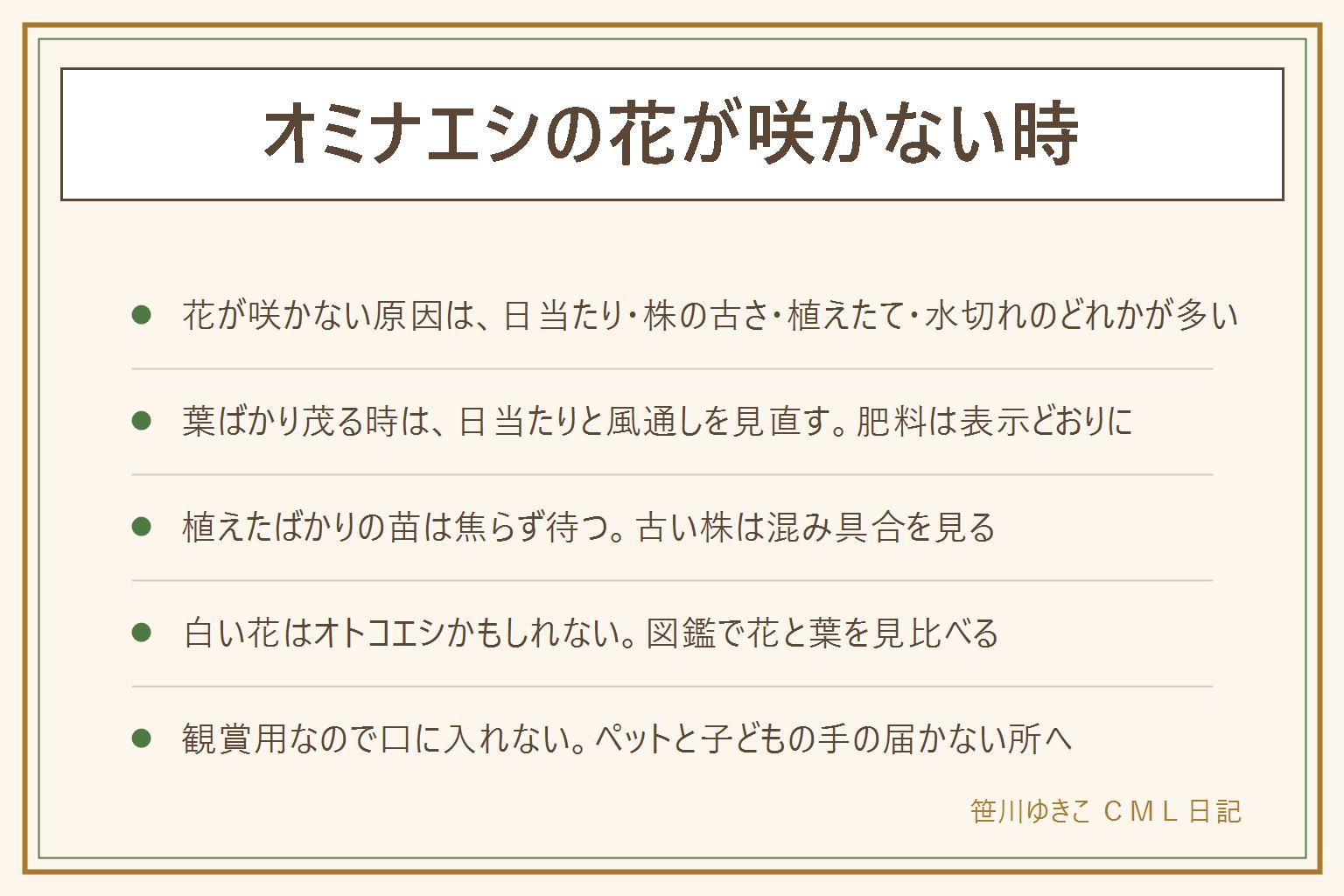 オミナエシの花が咲かない時の早見表:原因は日当たり不足、株が古い・混み合っている、植えたばかりで根づく途中、夏の水切れのどれかが多い。葉ばかり茂る時は日当たりと風通しを見直し、肥料は製品の表示どおりに使う。植えたばかりは焦らず待ち、古い株は茎の混み具合を見る。株分けや植え直しの時期は苗のラベルや園芸店の案内で確かめる。白い花はオトコエシかもしれず、オミナエシは黄色ですらりと細め、オトコエシは白くがっしり。においは感じ方に個人差があり、切り花の水はこまめに替える。観賞用の草花なので葉・花・茎・根を口に入れず、料理の飾りにも使わない。猫や犬、小さな子どもがかじらないよう手の届かない所に置き、口に入れた時は医療機関や中毒の相談窓口へ。刃物は刃先を人に向けず、子どもの手の届かない所へ片づける