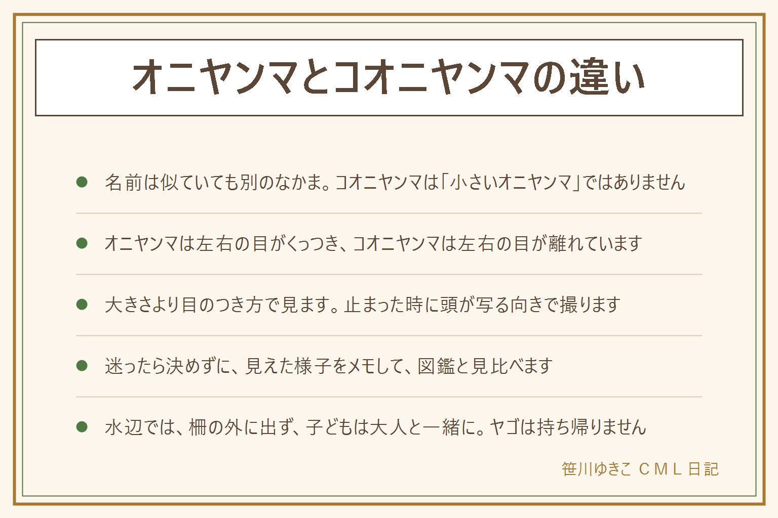 オニヤンマとコオニヤンマの違いの早見表:名前は似ているが別のなかま。オニヤンマは左右の目がくっついているのが目印で、日本でいちばん大きいトンボとして知られる。コオニヤンマはサナエトンボのなかまで、左右の目が離れている。大きさは見る距離や角度で感じ方が変わるので、大きさより目のつき方で見る。止まった時に、頭が写る向きで写真を撮り、図鑑と見比べる。水辺では柵の外に出ない、子どもは大人と一緒、水に手を入れない、トンボはつかまない、ヤゴを持ち帰らない