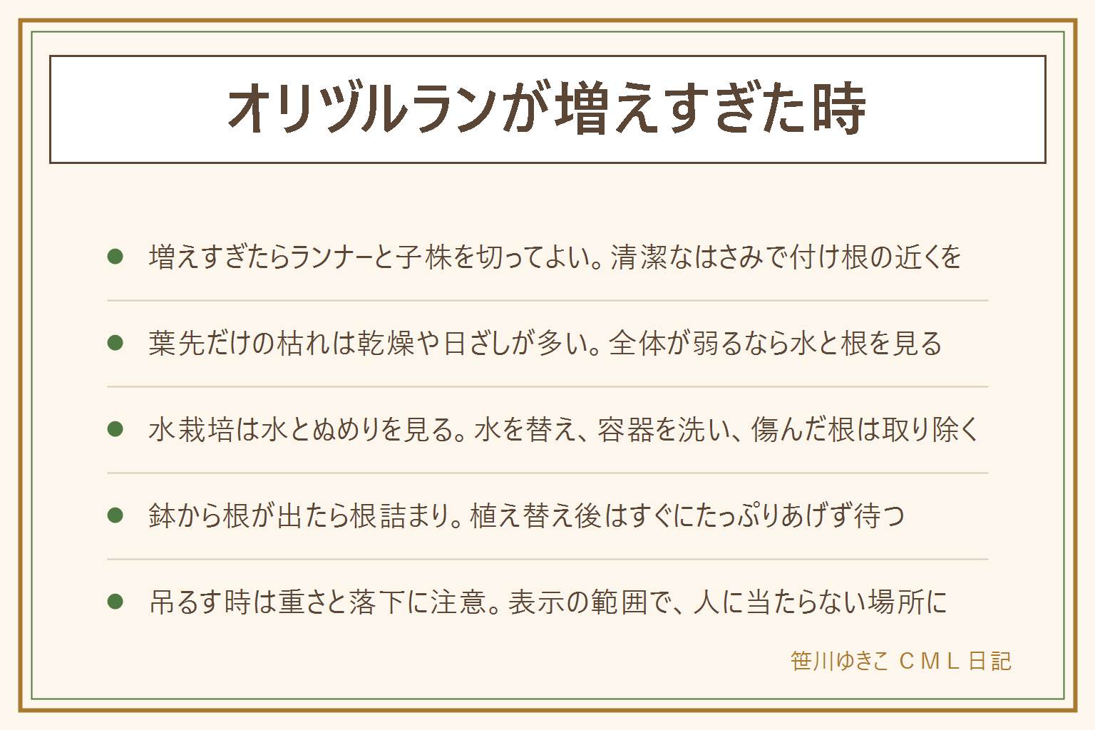 オリヅルランが増えすぎた時の早見表:増えすぎたらランナーと子株を清潔なはさみで付け根の近くから切って整理し、子株は別の鉢か水栽培へ。葉先が枯れるのは乾燥・日ざし・根詰まり・水の多さ・冷えが関わり、葉先だけか株全体かで見分ける。水栽培は水を替え容器のぬめりを洗い、傷んだ根は取り除く。鉢の下から根が出たら根詰まりで、植え替え後はすぐにたっぷり水をあげず待つ。吊るす時は重さを道具の表示の範囲にし、ソファやベッドの上を避け、賃貸は管理会社に確認。切った葉は子どもとペットの口に入らない所へ