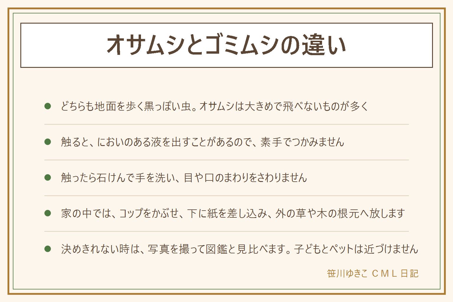 オサムシとゴミムシの違いの早見表:どちらも地面を歩く黒っぽい虫のなかま。オサムシは体が大きめで、後ろの羽が退化して飛べないものが多い。ゴミムシは小さめのものが多く、飛ぶものもいる。どちらも触ると、においのある液を出すことがあるので素手でつかまない。触ったら石けんで手を洗い、目や口のまわりをさわらない。家の中に入った時は、素手でつかまず、コップをかぶせて下に紙を差し込み、そのまま外の草や木の根元へ放す。決めきれない時は写真を撮って図鑑と見比べる。子どもとペットは近づけない