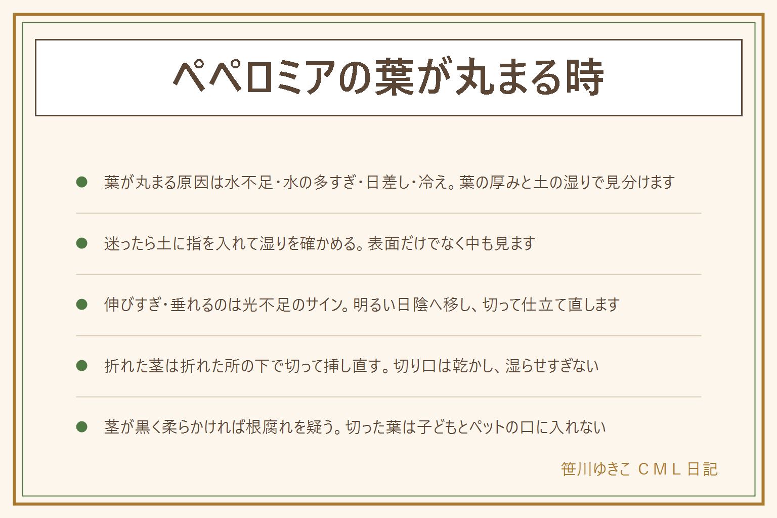 ペペロミアの葉が丸まる時の早見表:葉が丸まる原因は水の足りなさ、水の与えすぎ、強い日差し、冷えのどれかで、葉の厚みと土の湿りで見分ける。葉が薄くしわが寄るなら水不足、厚いのにぷよぷよ黄色いなら水のやりすぎ、土に指を入れて湿りを確かめる。伸びすぎて垂れる・倒れるのは光不足のサインで、明るい日陰に移して葉の付け根の少し上で切って仕立て直す。折れた茎は折れた所の下で清潔な刃物で切り、切り口を乾かして挿し直す。茎の根元が黒く柔らかければ根腐れを疑う。切った葉や茎は子どもやペットの口に入らないよう片づける