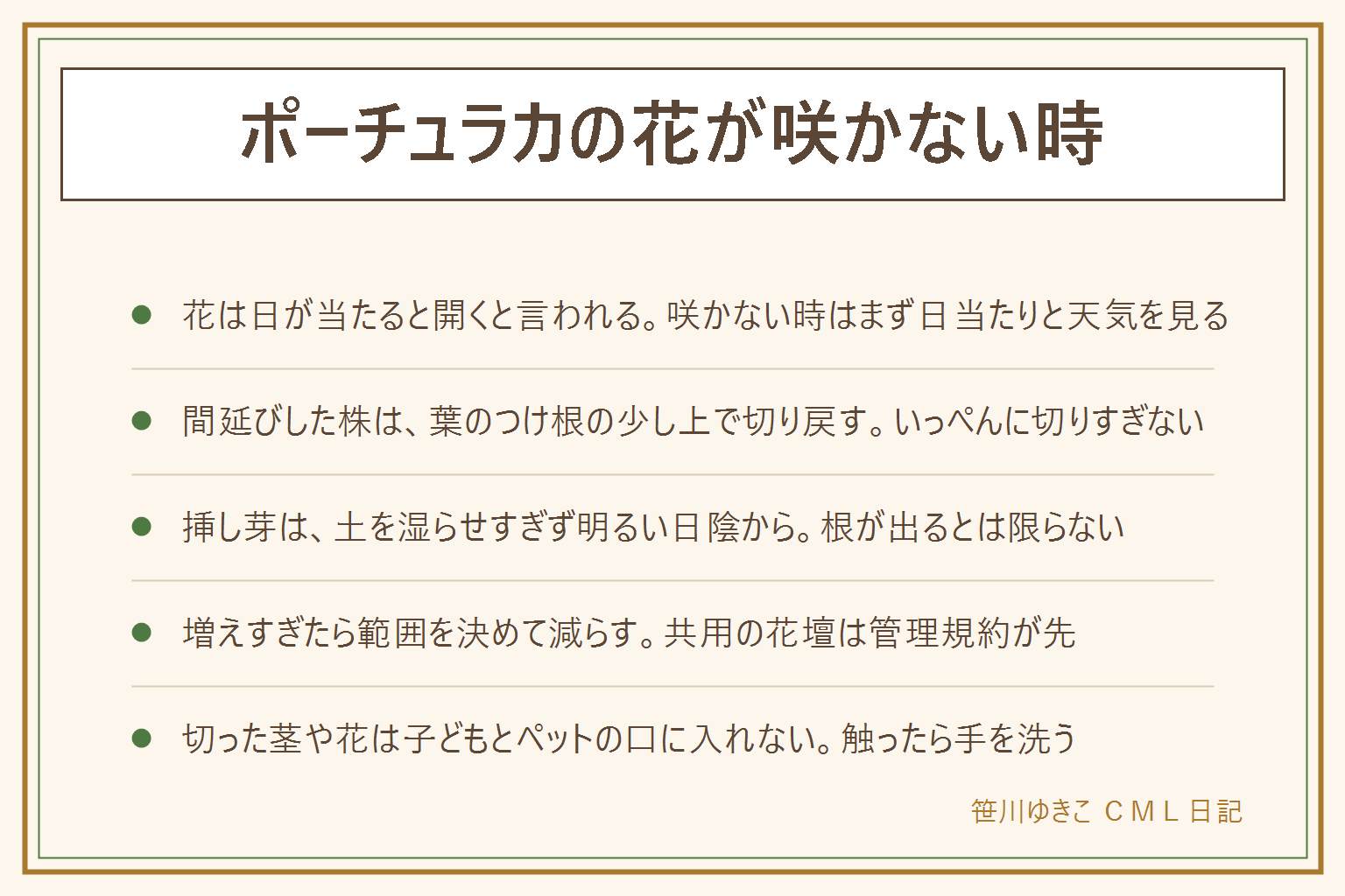 ポーチュラカの花が咲かない時の早見表:花は日が当たると開くと言われ、曇りや日陰では閉じたままのことがあるので、咲かない時はまず日当たりを見る。茎が伸びて間延びした株は葉のつけ根の少し上で切り戻し、いっぺんに切りすぎない。挿し芽は土を湿らせすぎず明るい日陰で様子を見る。増えすぎたら範囲を決めて減らし、共用の花壇は管理規約が先。ポーチュラカは葉が平たく厚く、マツバボタンは葉が細い松葉形。切った茎や落ちた花は子どもとペットの口に入らない所へ、作業後は手を洗う