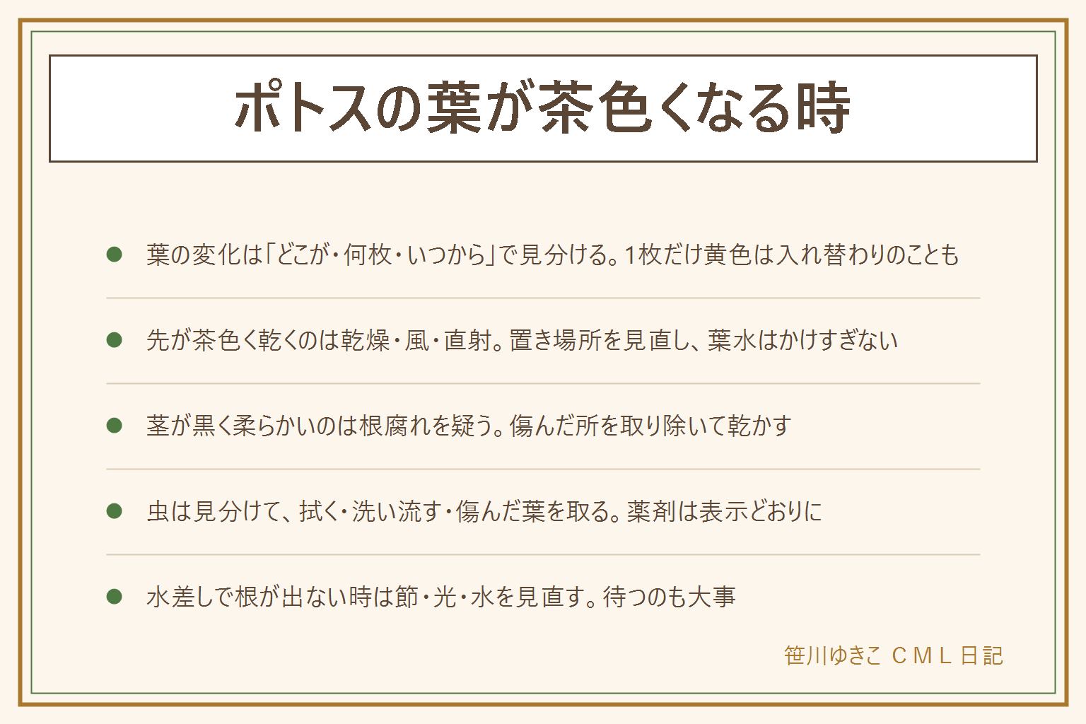 ポトスの葉が茶色くなる時の早見表:葉の変化はどこが、何枚、いつからで見分ける。下の古い葉が1枚だけ黄色いのは入れ替わりのことも。先が茶色く乾くのは乾燥、風、直射で、置き場所を見直し、葉水はかけすぎない。茎が黒く柔らかいのは根腐れを疑い、土のにおいと根元を確かめ、傷んだ所を取り除いて乾かす。戻らなければ園芸店へ。虫食いや小さい虫は、葉を拭く、洗い流す、傷んだ葉を取る。薬剤は表示どおりに使い、子どもやペットを近づけない。水差しで根が出ない時は、節が水に浸かっているか、明るい日陰か、水が清潔かを見直す。落ちた葉や切った茎は子どもの口に入らない所へ