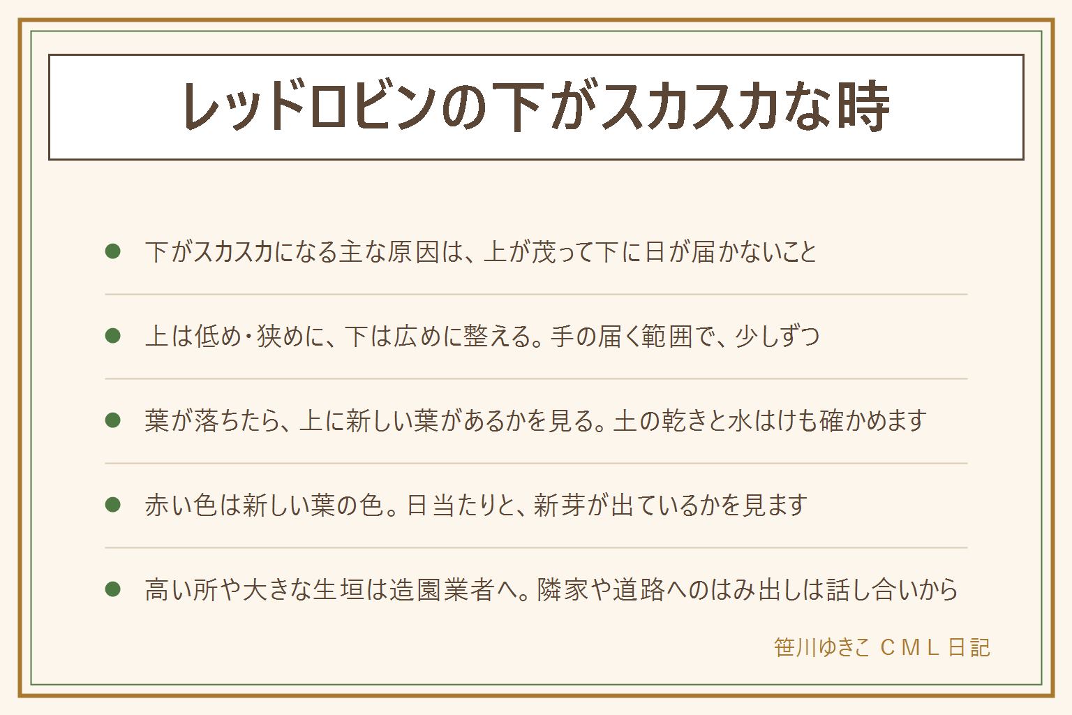 レッドロビンの下がスカスカな時の早見表:主な原因は、上の葉が茂って下に日が当たらないこと。上は低め狭めに、下は広めに整えて、下の枝に日を届かせる。手の届く範囲で少しずつ整え、高い所や大きな生垣は造園業者へ。葉が落ちる時は上に新しい葉が出ているか、土の乾きと水はけを見る。赤い色は新しく出た葉の色で、日当たりが足りないと出にくい。カナメモチやベニカナメモチと呼び名で迷ったらラベルの正式な名前とお店の人の説明で確かめる。葉や枝は子どもとペットが口に入れないよう注意