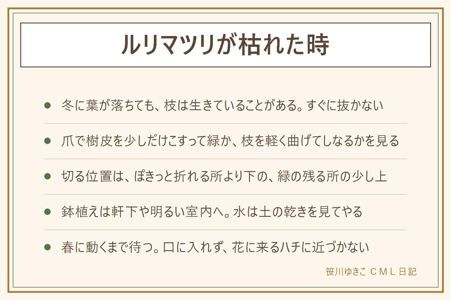 ルリマツリが枯れた時の早見表:ルリマツリは低木で、寒くなると葉が落ちたり茶色くなったりすることがあり、枝が生きていれば春に芽が出ることもあると言われる。すぐ抜かずに枝を確かめる。爪で樹皮を少しだけこすって緑か、枝を軽く曲げてしなるかを見る。切る位置はぽきっと折れる所より下の、緑の残る所の少し上。寒い時期は触らず、暖かくなって芽が動いてから整理する。鉢植えは冷たい風を避けて軒下や明るい室内へ。水は土の乾きを見てやり、受け皿の水は捨てる。ルリマツリモドキは地をはう草で別の植物。観賞用の草花は口に入れず、花に来るハチに近づかない