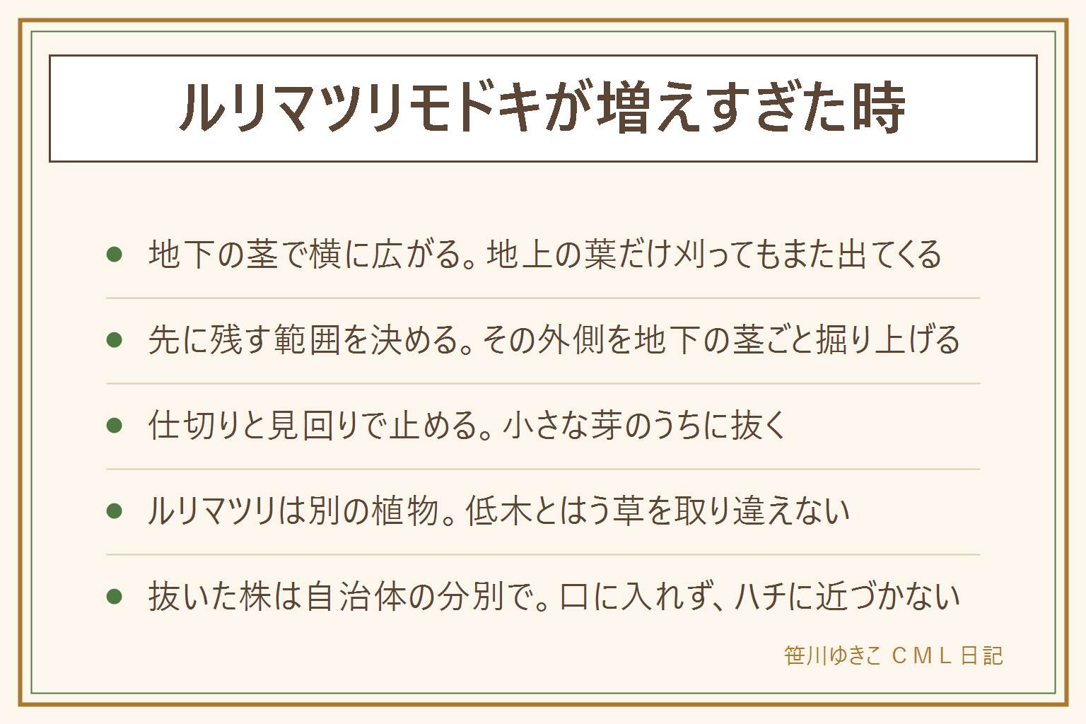 ルリマツリモドキが増えすぎた時の早見表:地下の茎で横に広がる草と言われ、地上の葉だけ刈ってもまた出やすい。減らす時は残す範囲を先に決め、その外側を移植ごてで地下の茎ごと掘り上げる。茎は切らさずたどって抜き、袋に入れて自治体の分別で出す。空き地や川原、山には捨てない。広がりを止めるには花壇の縁に少し深めの仕切りを入れ、季節の変わり目に見回って小さな芽のうちに抜く。ルリマツリは低木で別の植物なので取り違えない。秋に葉が赤くなるのは季節の様子と言われる。花にハチが来ることがあるので通り道の近くは植える場所を考える。観賞用の草花は口に入れず、猫や犬がかじらないよう注意する