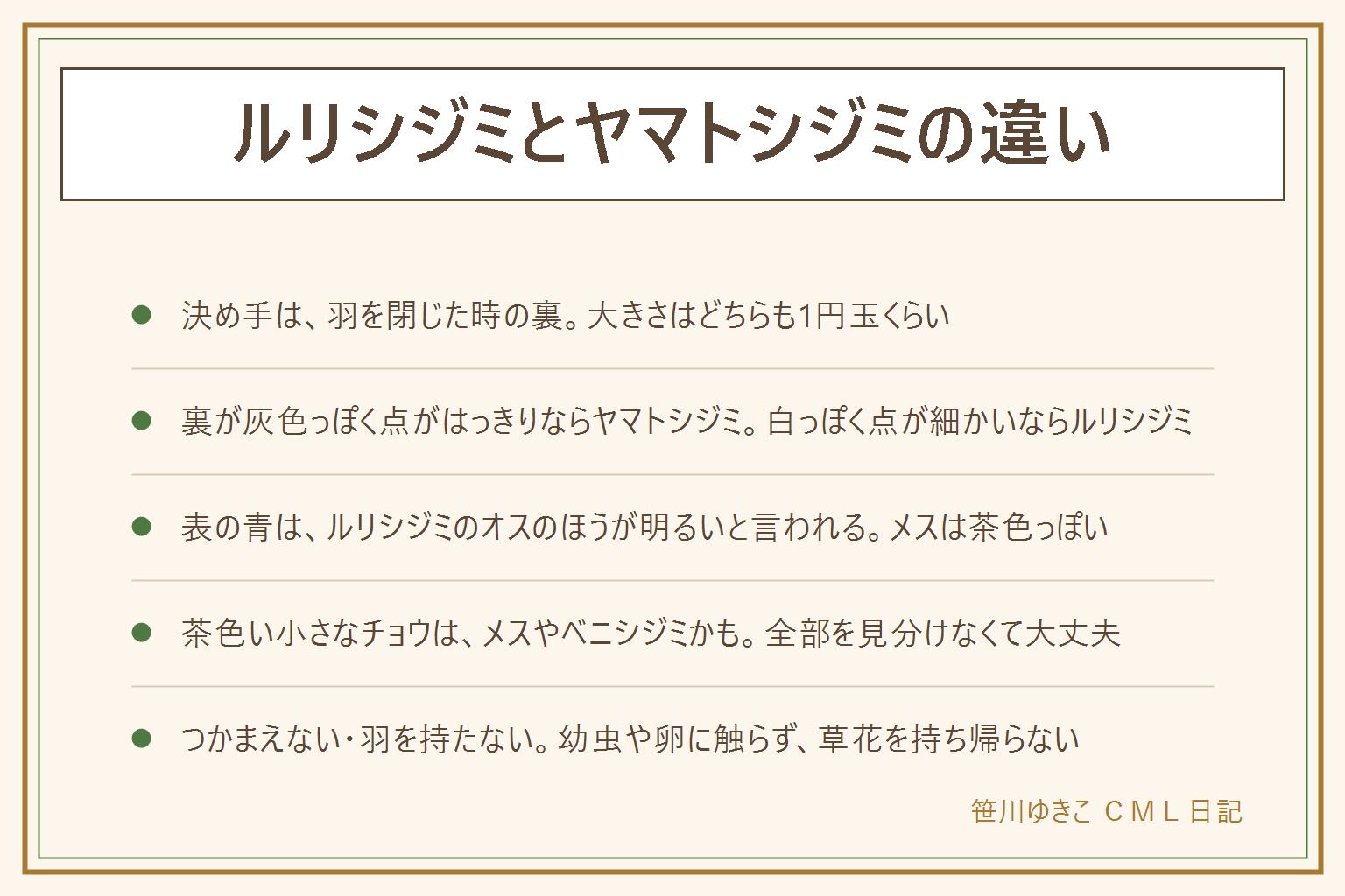 ルリシジミとヤマトシジミの違いの早見表:どちらも1円玉くらいの青い小さなシジミチョウ。見分けの決め手は羽を閉じた時の裏。裏が灰色っぽく黒い点がはっきりしていればヤマトシジミ、白っぽく小さな点が細かければルリシジミと言われる。表の青はルリシジミのオスのほうが明るい。メスは茶色っぽい。ヤマトシジミは道ばたのカタバミのそば、ルリシジミは公園や林のまわりで見られる。つかまえない、羽を持たない、幼虫や卵に触らない、草花を持ち帰らない。しゃがんで離れて静かに見る。