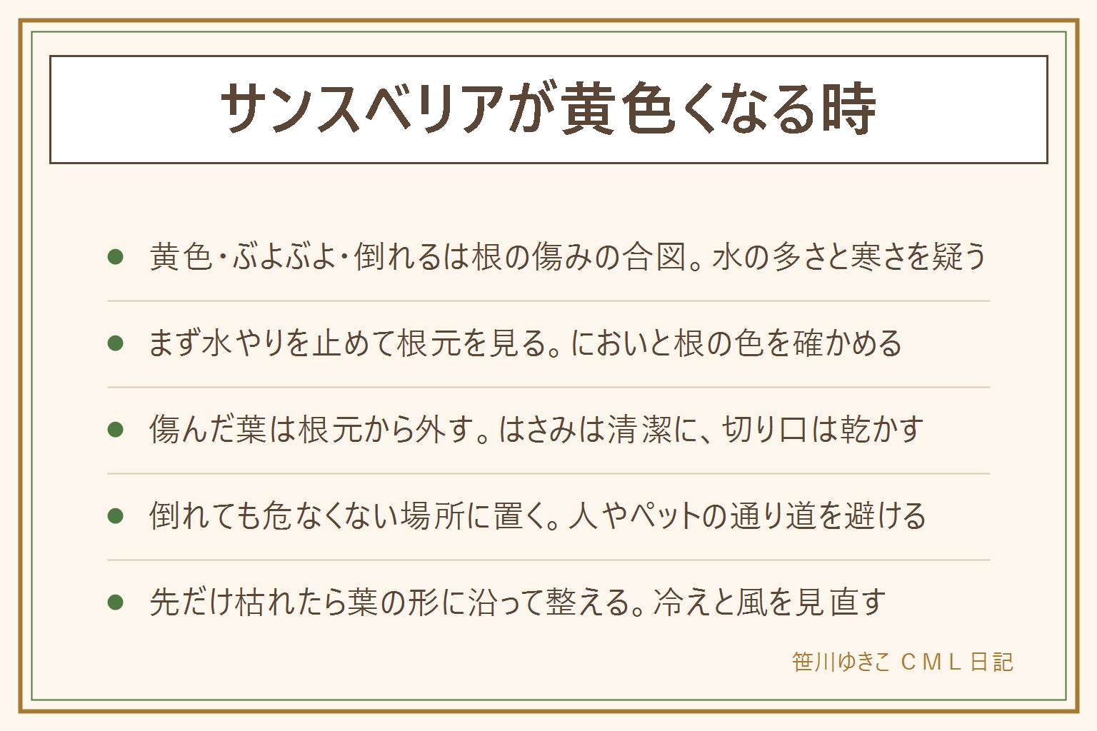 サンスベリアが黄色くなる時の早見表:黄色くなる、ぶよぶよする、根元から倒れるは、水の多さと寒さで根が傷んでいる合図。まず水やりを止めて、根元のにおいと根の色を確かめる。傷んだ葉は清潔なはさみで根元から外し、切り口は乾かす。台の下にマットを敷き、子どもは大人が見る。先だけ枯れた葉は葉の形に沿って整え、冷たい風を避ける。背の高い鉢は倒れても人に当たらない場所に置き、ベッドやソファの上、子どもやペットの通り道を避ける。切った葉は子どもの口に入らない所へ。戻らない時は園芸店に相談する