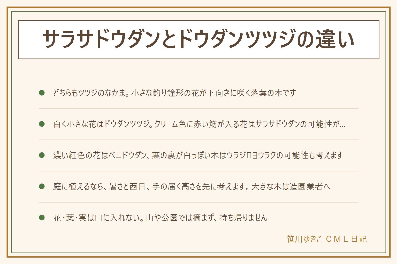 サラサドウダンとドウダンツツジの違いの早見表:どちらもツツジのなかまで、小さな釣り鐘形の花が下向きに咲く落葉の木。ドウダンツツジは白く小さな花で、生け垣や秋の紅葉でよく見かける。サラサドウダンは花が少し大きく、クリーム色に赤い筋が入る花で、涼しい所を好むと言われる。花の色が最初の手がかり。ベニドウダンは小さな濃い紅色の花、ウラジロヨウラクは葉の裏が白っぽいと言われる。庭に植えるなら暑さと西日、手の届く高さを考え、大きな木は造園業者へ。花・葉・実は口に入れない。山や公園では花を摘まない、枝を折らない、持ち帰らない、登山道から外れない。迷ったら決めず、花と葉を写真に撮って図鑑と見比べる