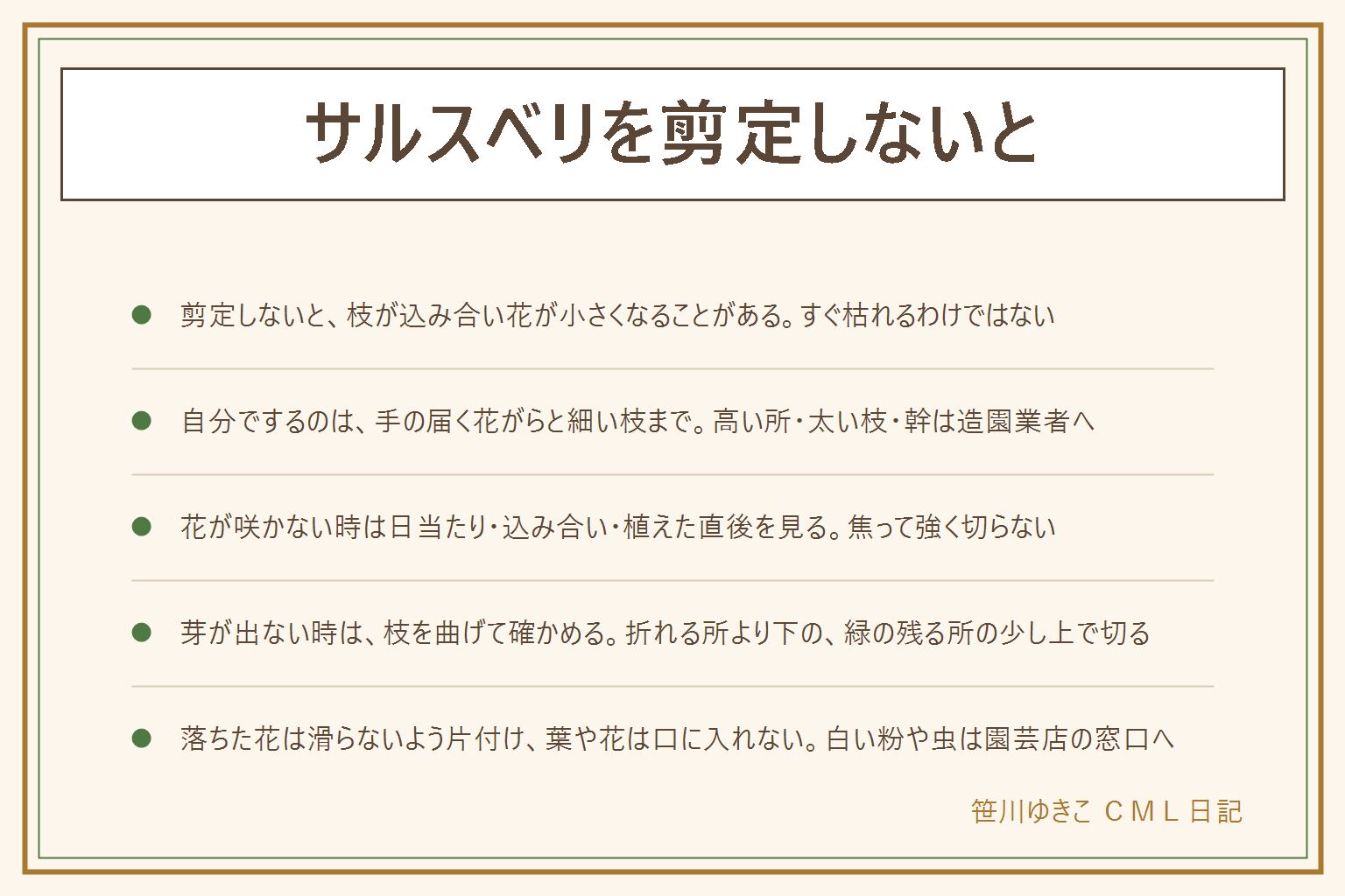 サルスベリを剪定しないとどうなるかの早見表:枝が込み合い、花が小さく少なくなることがあるが、すぐ枯れるわけではない。自分で手入れするのは手の届く花がらと細い枝まで、高い所と太い枝と幹は造園業者へ。花が咲かない時は日当たり、枝の込み合い、植えた直後を見る。春に芽が出ない時は枝を曲げて確かめ、ぽきっと折れる所より下の緑の残る所の少し上で切る。葉に白い粉が出たら園芸店の相談窓口へ。落ちた花は滑らないよう片付け、葉や花は口に入れない。猫や犬はかじることがある