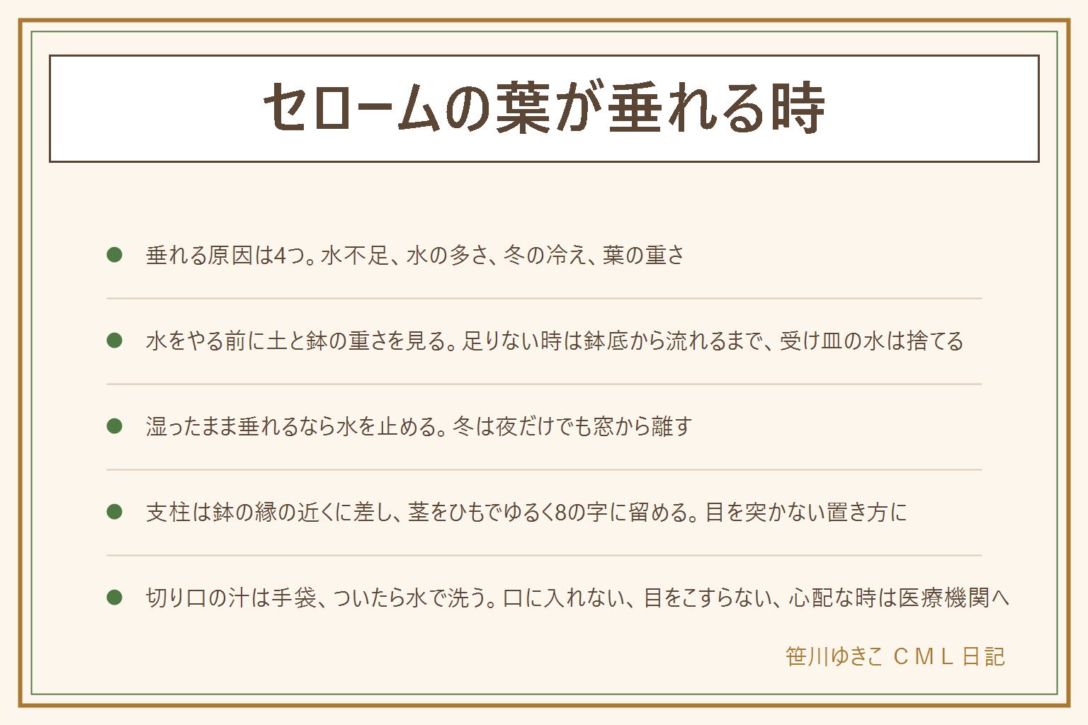 セロームの葉が垂れる時の早見表:原因は水が足りない、水が多くて根が弱った、冬の冷え、葉が重くなって傾いたの4つ。土がからからで鉢が軽ければ鉢底から流れるまで水をやり受け皿の水は捨てる。土が湿ったまま鉢が重ければ水やりを止める。冬は夜だけでも窓から離し冷たい風を避ける。倒れる時の支柱は、鉢の縁の近くに差して、茎をひもでゆるく8の字に留める。鉢は根が鉢底から出ていたら一回り大きく。切り口の汁は手袋をして、ついたら水で洗い、目をこすらない。目に入った時や痛む時は医療機関へ。葉や汁を口に入れない、子どもの手の届かない所、猫や犬がかじらない所へ