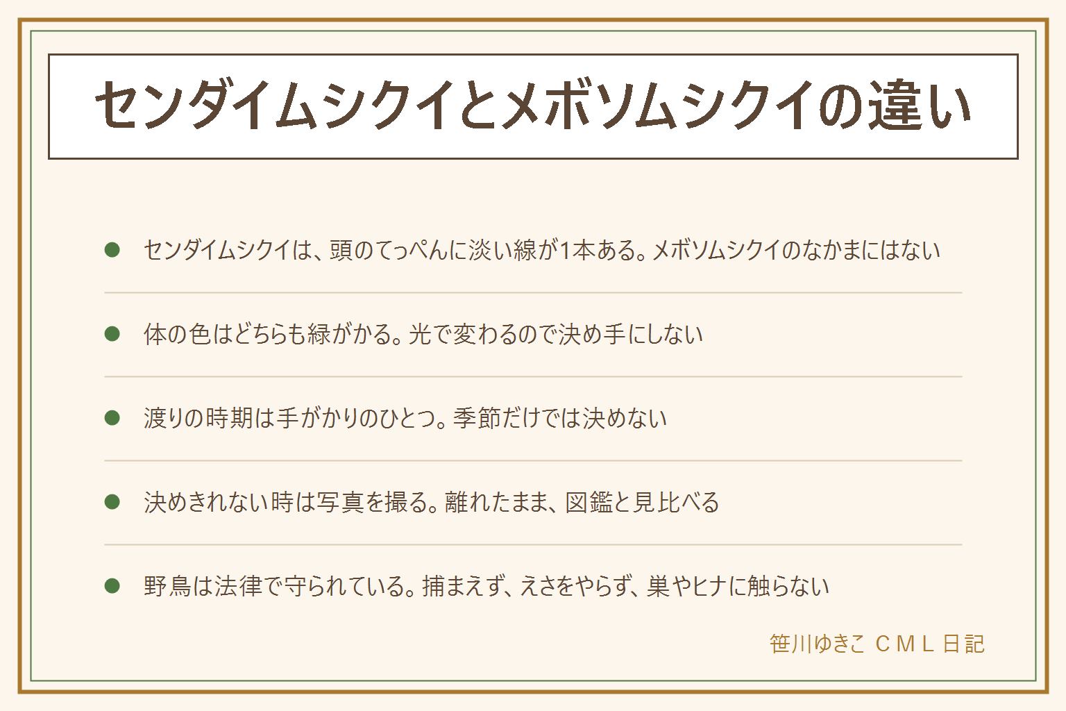 センダイムシクイとメボソムシクイの違いの早見表:どちらも緑がかった小さなムシクイのなかま。センダイムシクイは頭のてっぺんに淡い色の線が1本通って見えるのが目印。メボソムシクイのなかまにはこの線がなく、春と秋の渡りの時期に平地の公園などを通っていくことが多い。体の色は光で変わるので決め手にしない。決めきれない時は、離れたまま頭のてっぺんが写った写真を撮り、図鑑と見比べる。野鳥は法律で守られているので、捕まえない、飼わない、えさをやらない、巣やヒナに触らない、巣箱やえさ台をかけない、音を流して呼ばない。遊歩道から外れず、私有地や立入禁止の場所に入らない