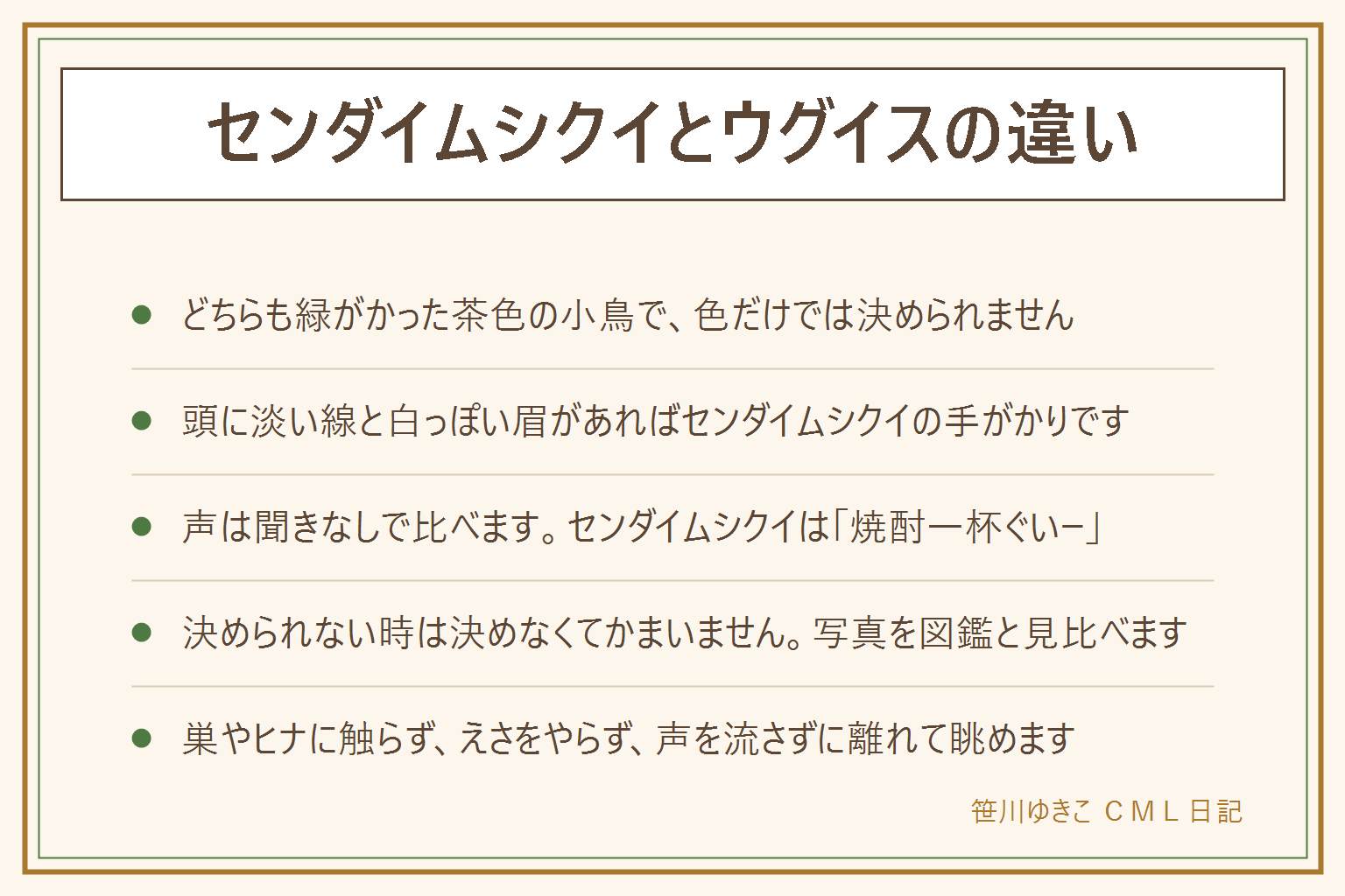 センダイムシクイとウグイスの違いの早見表:どちらも緑がかった茶色の小鳥で似ている。センダイムシクイは頭のてっぺんに淡い線があり、白っぽい眉がはっきりしている。ウグイスは頭に線がない。声はセンダイムシクイが焼酎一杯ぐいーと聞きなしされ、ウグイスはホーホケキョで知られる。春から夏に林で見聞きする。決められない時は決めず、写真を撮って図鑑と見比べる。野鳥は法律で守られているため、捕まえない、飼わない、巣やヒナに触らない、えさ(パンを含む)をやらない、鳴き声を流して呼ばない、登山道から外れない、私有地に入らない、離れて静かに双眼鏡で見る