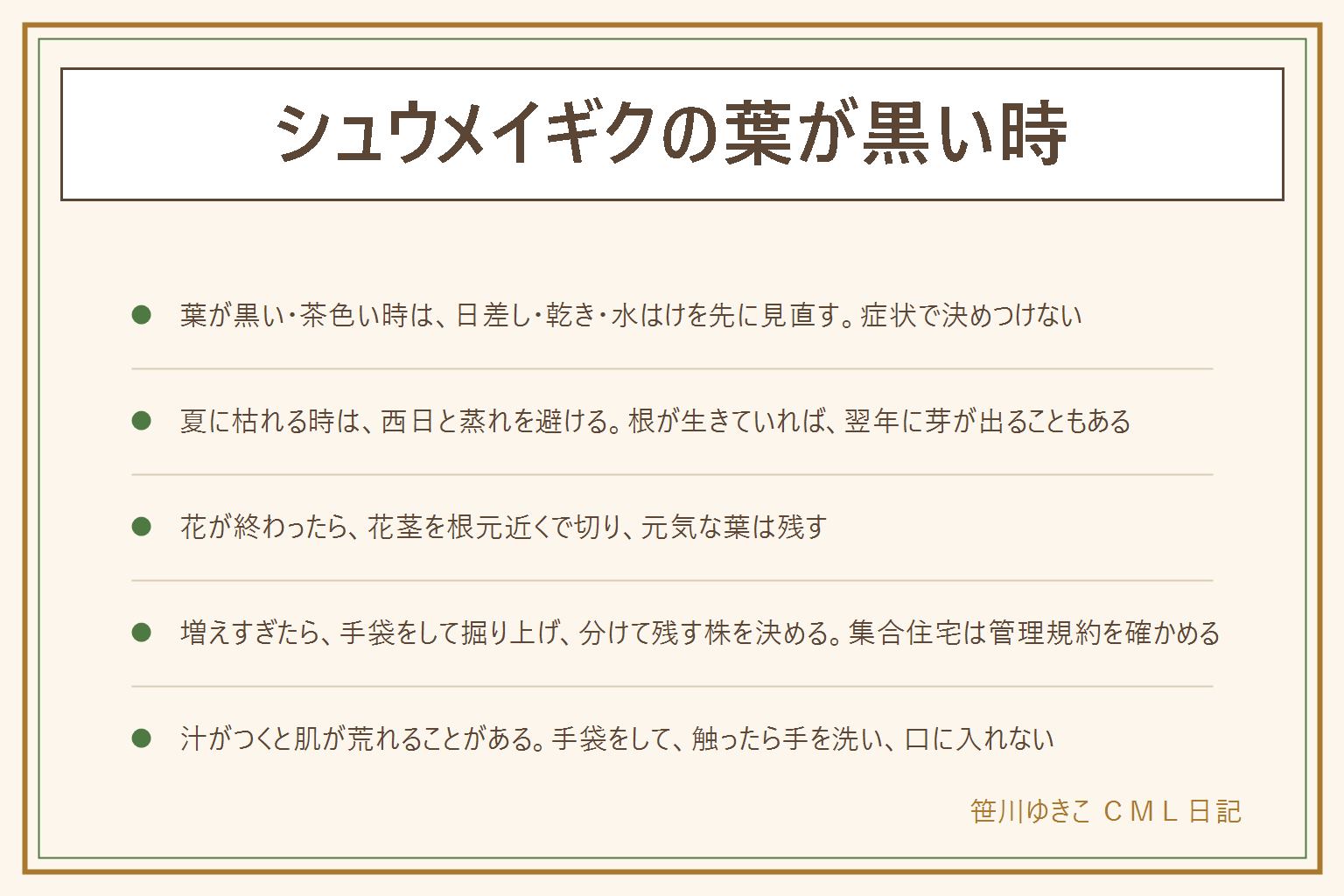 シュウメイギクの葉が黒い時の早見表:葉が黒い・茶色い時は、強い日差し、乾き、水はけの悪さを先に見直す。夏に枯れる時は西日と蒸れを避け、土の表面が乾いてから朝か夕方に水をやる。根が生きていれば翌年に芽が出ることもある。花が終わったら花茎を根元の近くで切り、元気な葉は残す。地下の根で広がって増えるので、手袋をして移植ごてで掘り上げ、分けて残す株を決める。集合住宅の花壇は管理規約と管理会社に確かめる。花が咲かない時は日当たりと植えて間もないことを見る。アネモネは春咲きで、シュウメイギクは秋咲きの宿根草。切った時の汁が肌につくと赤みやかゆみが出ることがあるため、手袋をして、触ったら石けんで手を洗い、葉・茎・花は口に入れない。子どもとペットの手の届かない所に置き、口に入れた時は医療機関や中毒の相談窓口、ペットは獣医さんへ