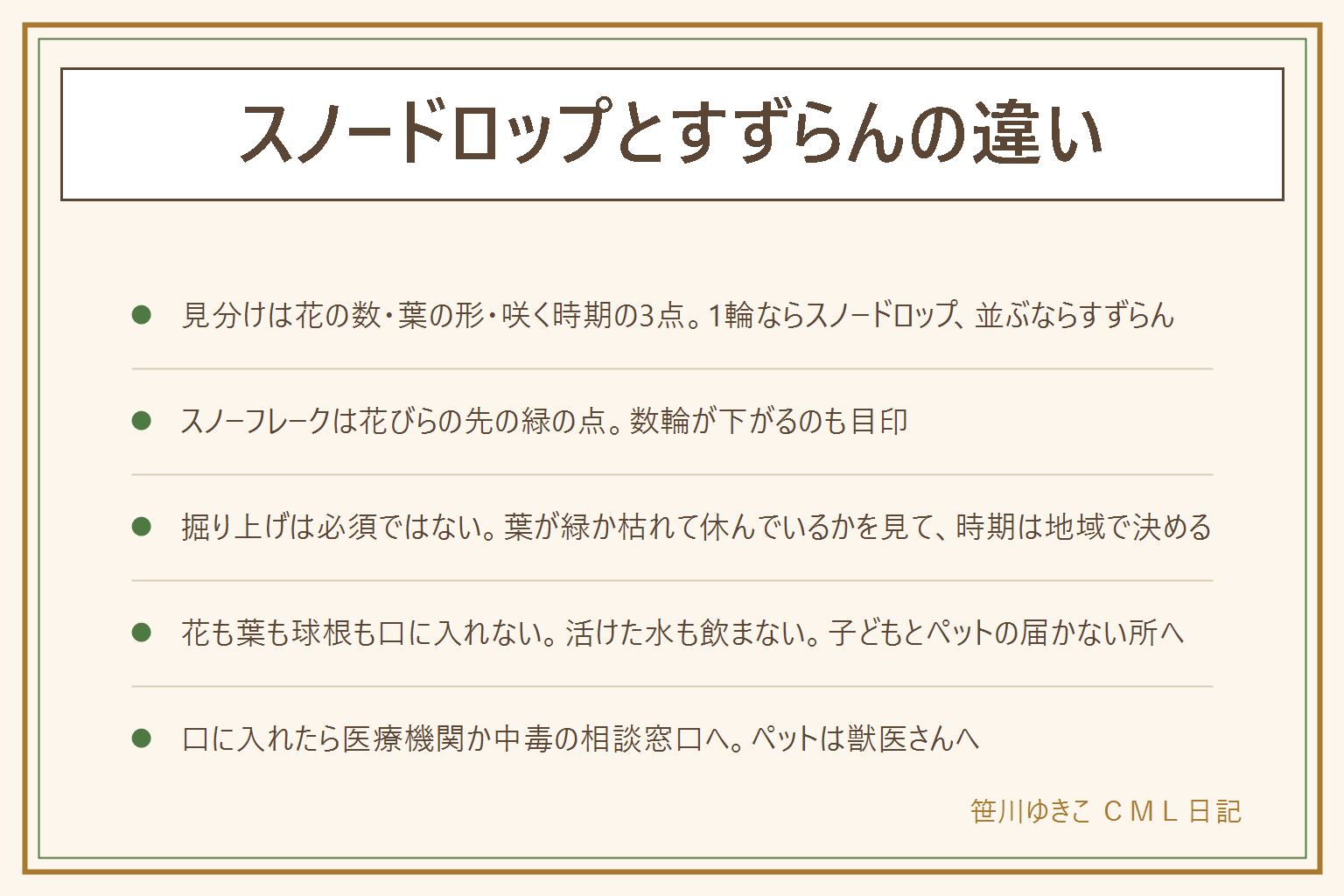 スノードロップとすずらんの違いの早見表:見分けは花の数・葉の形・咲く時期の3点。スノードロップは1本の茎に1輪、細長い葉、冬の終わりごろに咲く。すずらんは小さな鈴のような花が茎に並び、幅の広い葉、春に咲き、赤い実がなることがある。スノーフレークは数輪が下がり、花びらの先に緑の点がある。掘り上げは必須ではなく、葉が緑か枯れて休んでいるかを見て、時期は地域と球根の袋の表示で決める。芽が出るまでは掘り返さずに待つ。植える場所は夏に日陰で冬から春に日が差す所。球根も花も葉も口に入れない、すずらんの活けた水も飲まない、子どもとペットの手の届かない所へ、口に入れた時は医療機関や中毒の相談窓口へ、ペットは獣医さんへ。抜いた球根と土は自治体の案内で捨てる