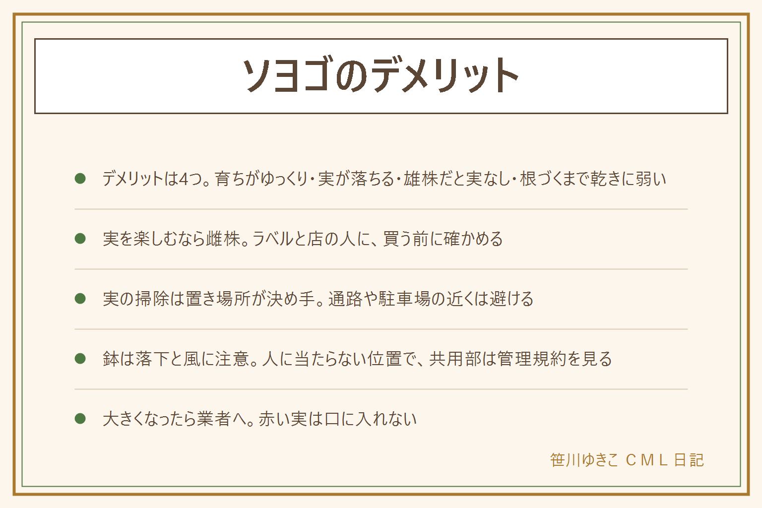 ソヨゴのデメリットの早見表:デメリットは4つ、育ちがゆっくりで植えてすぐは目隠しになりにくい、雌株の赤い実が落ちて掃除が増える、雄株だけでは実がつかない、根づくまで乾きに弱い。実を楽しみたいなら雌株を選び、買う時にラベルと店の人に確かめる。実の掃除は植える場所が決め手で、通路や玄関や駐車場の近くは避け、屋外用のほうきとちりとりで集める。鉢植えは落ちても人に当たらない位置に置き、集合住宅は管理規約を確かめる。大きくなって高い所の手入れが必要になったら造園業者に相談。赤い実と葉は口に入れず、触ったら手を洗う