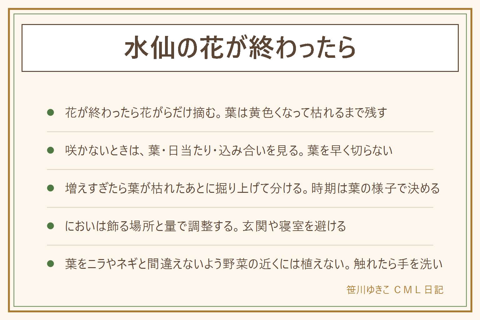 水仙の花が終わったら の早見表:花が終わったら花がらだけを根元近くで切り、葉は黄色くなって枯れるまで残すと、次の年の球根が育つと言われる。咲かない時は、葉を早く切っていないか、日当たりは足りているか、球根が込み合っていないかを見る。増えすぎたら葉が枯れたあとに掘り上げて分ける。においは玄関や寝室を避けて風の通る部屋に飾る。切り花の汁は手袋で扱い、ほかの花とは別の花瓶に。葉をニラやネギと間違えないよう野菜の近くには植えず、子どもとペットの届かない所に置き、触れたら手を洗う。植えた場所にはラベルで目印を立てる