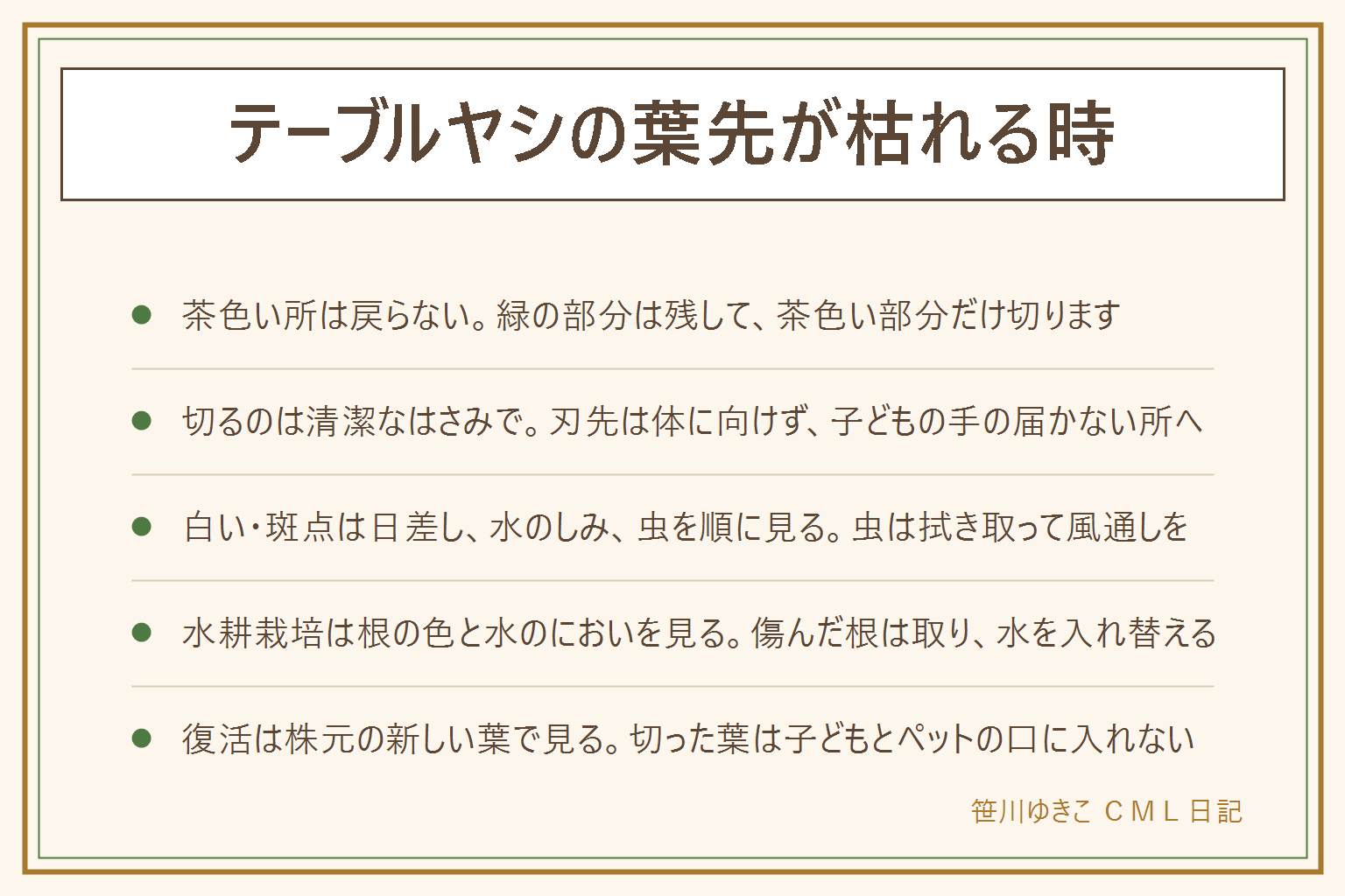 テーブルヤシの葉先が枯れる時の早見表:茶色くなった所は元に戻らないので、緑の部分は残して茶色い部分だけ清潔なはさみで切る。色の変化は、葉先だけ茶色は乾燥、葉が黄色は水の与えすぎや日光不足、白っぽく色が抜けるのは強い日差し、斑点は水のしみや傷みや虫を疑う。虫は拭き取って風通しをよくする。水耕栽培で枯れる時は根の色を見て、黒くぬるぬるした傷んだ根を取り、水を入れ替えて容器も軽く洗う。復活できるかは株元から新しい葉が出ているかで見る。切った葉は子どもやペットの口に入らないよう片づける