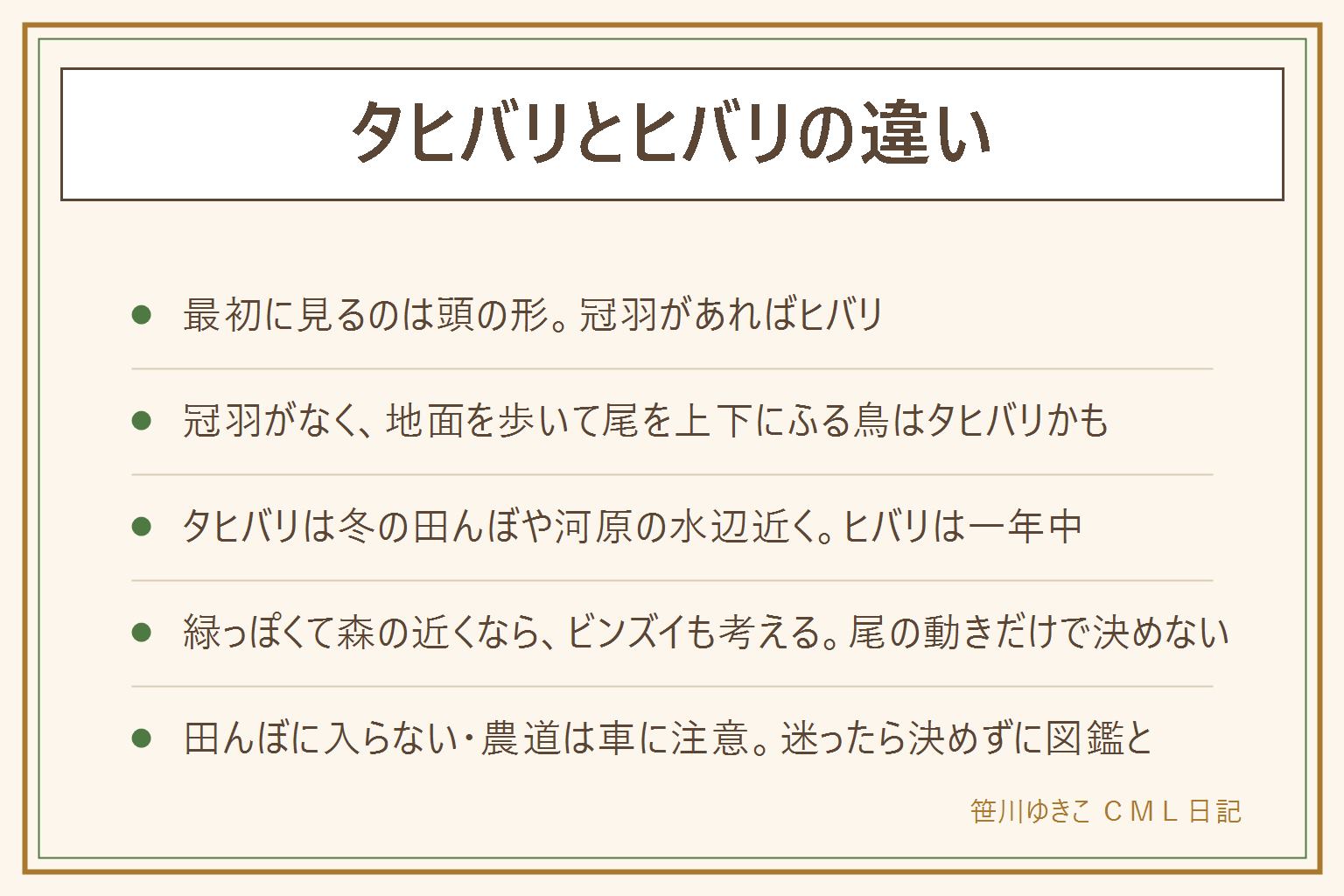 タヒバリとヒバリの違いの早見表:最初に見るのは頭の形。ヒバリは頭に短い冠のような羽(冠羽)があり、一年中、畑や河原、草原で見られる。タヒバリは冠羽がなく、冬に田んぼや河原の水辺近くでよく見かけ、地面を歩きながら尾を上下にふる。尾の動きは他の鳥にもあるので補助にする。森の近くで緑っぽい小鳥はビンズイも考える。田んぼや畦に入らない、農道では車に気をつける、河原や水辺は柵の外に出ず水に入らない、子どもは大人と一緒。野鳥は捕まえない・巣やヒナに触らない・えさをやらない。迷ったら写真とメモを残して図鑑と見比べ、決めきれなければ決めない
