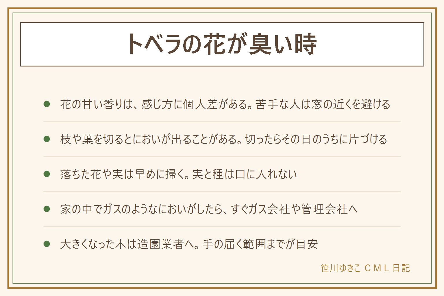 トベラの花が臭い時の早見表:においの感じ方には個人差がある。花の時期は甘い香りで苦手な人もいる、枝や葉を切ると独特のにおいを感じることがある、実が割れる時期には種のにおいを感じることがある、落ちた花は傷むとにおいが変わる。対処は落ちた花や実を早めに掃く、窓や換気口から距離を取る、切った枝はその日のうちに片づける。実と種は口に入れず、猫や犬や子どもが触れないようにする。家の中でガスのようなにおいがしたらトベラと決めつけずガス会社や管理会社に連絡する。大きくなった木は手の届く範囲まで、それ以上は造園業者に相談する