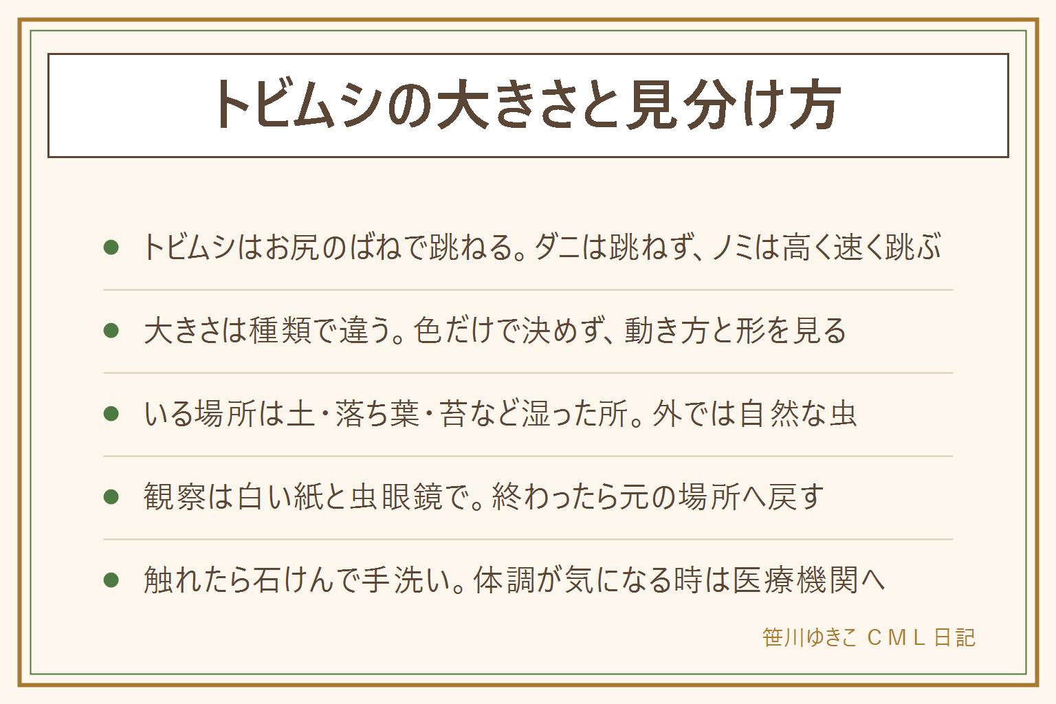 トビムシの見分けの早見表:トビムシはお尻のばねでぴょんと跳ねる、ダニは跳ねずに歩く、ノミは高く速く跳ぶ、アザミウマは細長く羽で飛ぶこともある。大きさは種類や環境で違い、色は白い・黒い・茶色がいるので色だけで決めない。いる場所は土、落ち葉、苔、鉢の土などの湿った所。観察は白い紙にのせて虫眼鏡で見て、終わったら元の場所へ戻す。日なたで虫眼鏡を紙に向けない。刺さないと言われるが、触れたら石けんで手を洗い、目や口をこすらない。かゆみやくしゃみなど体調が気になる時は医療機関に相談する。ペットは獣医さんへ。集合住宅は管理会社の案内に従う。