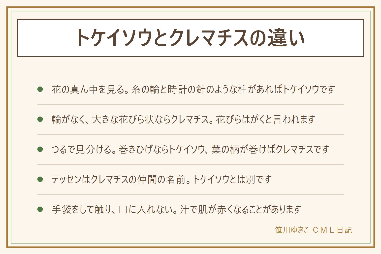 トケイソウとクレマチスの違いの早見表:花の真ん中に糸のような細い飾りが輪になり、時計の針のような柱が立っていればトケイソウ。花びらに見える部分が大きく、真ん中に糸の輪がなければクレマチスで、花びらに見える所はがくと言われる。つるは、トケイソウが細い巻きひげで絡み、クレマチスは葉の柄が支えに巻きつくと言われる。テッセンやカザグルマはクレマチスのなかまの呼び名。クレマチスの汁で肌が赤くなることがあるため、手袋をして触り、触ったら手を洗う。葉・花・実・汁は口に入れない。犬や猫がかじらないようにし、隣家へのはみ出しは話し合いで、公園の植物は持ち帰らない
