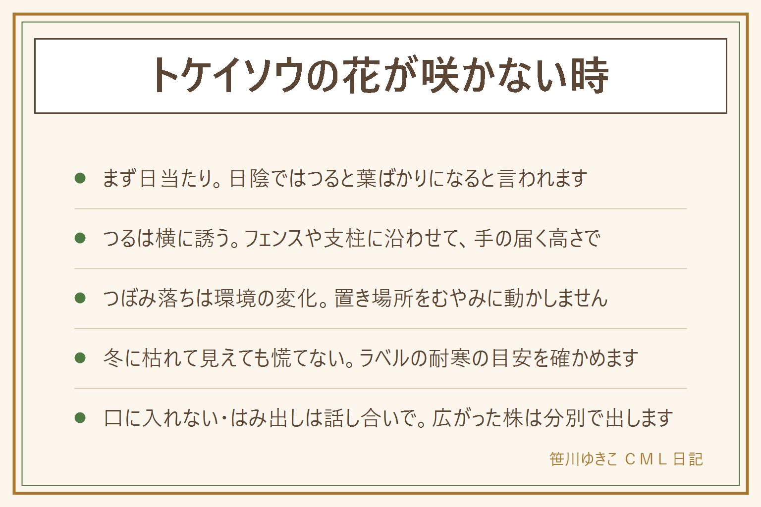 トケイソウの花が咲かない時の早見表:咲かない理由は日当たり、つるの向き、鉢の状態、寒さの四つ。日陰ではつると葉ばかりになると言われるので日向へ。つるは上にまっすぐではなくフェンスや支柱に沿って横に誘い、手の届く高さで。つぼみが落ちる時は置き場所の急な変更や水の極端さを見直す。冬に枯れたように見えても苗のラベルの耐寒の目安を確かめ、すぐ処分しない。葉・花・実・つるは口に入れない。隣へはみ出すつるは話し合いで、広がった株は手で抜ける範囲で整えて自治体の分別で出す