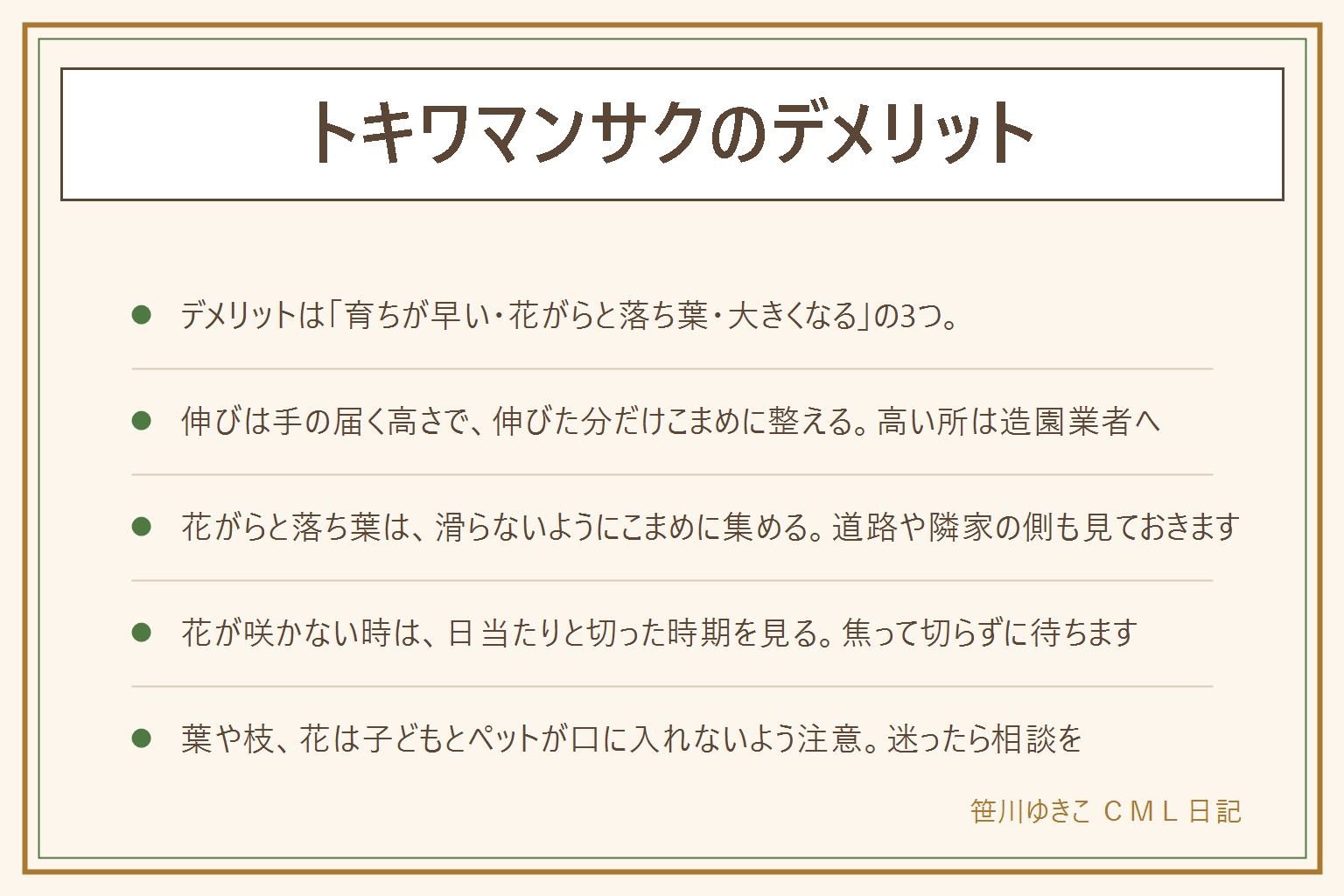 トキワマンサクのデメリットの早見表:デメリットは育ちが早く刈り込みの手間がかかる、花がらと落ち葉の片付けが出る、大きくなると手に負えない、の3つ。植える前に高さと場所を決め、手の届く高さで伸びた分だけこまめに整える。高い所や大きな木は造園業者へ。落ちた花や葉は滑らないようこまめに集める。花が咲かない時は日当たりと切った時期を見る。葉が落ちる時は新しい葉が出ているか、土の乾きと水はけを見る。マンサクは落葉、トキワマンサクは常緑。葉や枝や花は子どもとペットが口に入れないよう注意