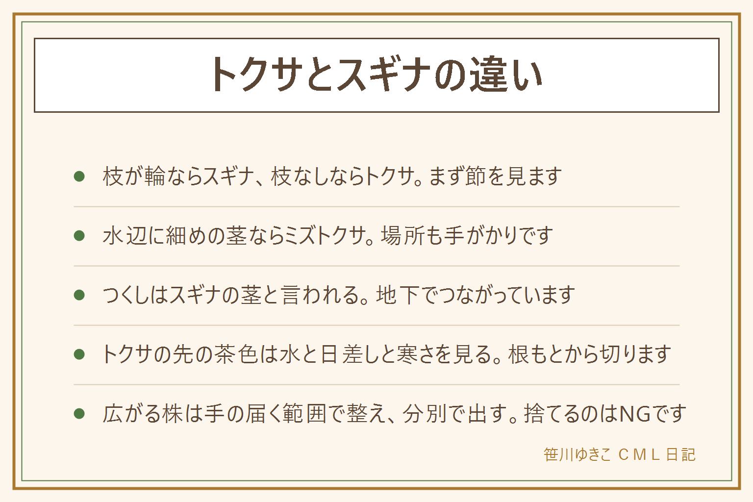 トクサとスギナの違いの早見表:節ごとに細い枝が輪のように出る草はスギナ、枝がほとんどなく濃い緑の茎がまっすぐ立つ草はトクサ。水辺や水の中に生える細めの茎はミズトクサの可能性がある。春に出る茶色い筆のようなつくしは、スギナの胞子を作る茎と言われ、地下でつながっている。トクサの先が茶色くなる時は水切れ、強い日差し、風、寒さを見直す。地下の茎で広がるので、手で掘れる範囲で整え、抜いた株は空き地や川原や山に捨てず、自治体の分別で出す。野の草花は口に入れない