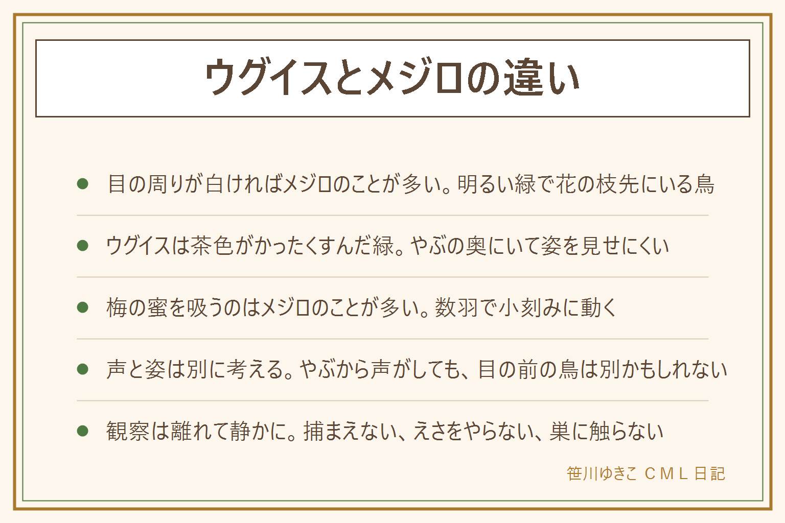 ウグイスとメジロの違いの早見表:メジロは明るい黄緑からオリーブ色で目の周りに白い輪があり、花の咲く木の枝先で蜜を吸い、小さな群れで動く。ウグイスは茶色がかったくすんだ緑で白い輪はなく、低い木やぶや笹やぶにいて姿を見せにくい。先に見るのは目の周りの白い輪。勘違いの理由は、梅にうぐいすの言い回し、うぐいす色のイメージ、うぐいす餅の緑色。声と姿は別に考える。野鳥は法律で守られているので、捕まえない、えさをやらない、巣やヒナに触らない、離れて静かに見る。