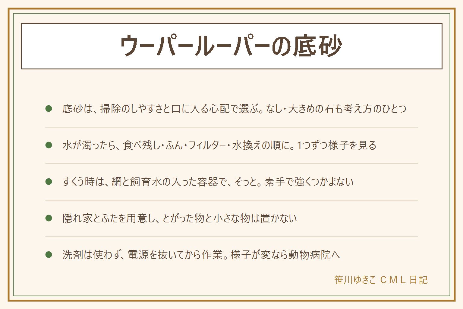 ウーパールーパーの底砂の早見表:底砂は掃除のしやすさと口に入る心配で考え、底砂なしか口に入りにくい大きさの物を選ぶ。細かい砂は飲み込む心配に注意し、飼育店に今の大きさに合うか確認する。水が濁ったら食べ残し、ふん、フィルター、水換えの順に見直し、水換えは少しずつ。すくう時は目の細かいやわらかい網と飼育水を入れた容器でそっと移し、素手で強くつかまない。レイアウトは隠れ家を作り、とがった物と小さな物を置かず、水槽にふたをする。水槽を洗う時は洗剤を使わず、電源を抜いてから。旅行や集合住宅の決まりは先に相談し、様子がいつもと違う時は両生類を診られる動物病院へ