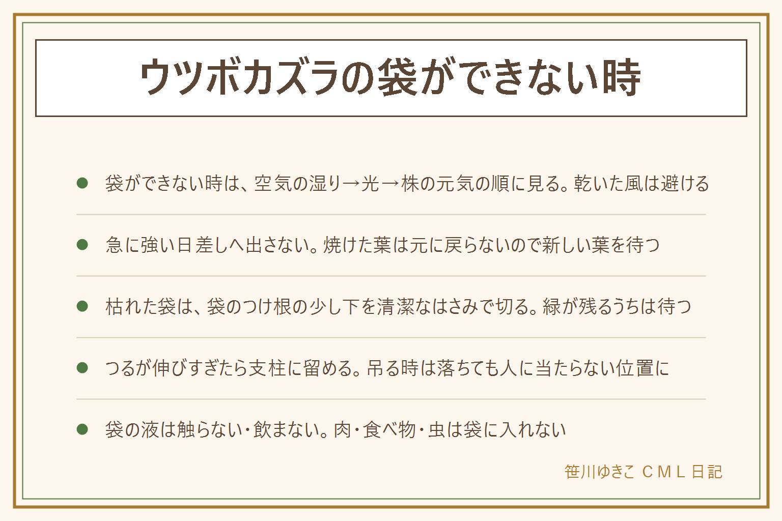 ウツボカズラの袋ができない時の早見表:空気の湿り、光、株の元気の順に見直す。乾いた風を避けて霧吹きで湿りを足し、急に強い日差しへ出さず少しずつ明るい場所へ慣らす。袋が茶色く枯れたら、全体が乾いてから袋のつけ根の少し下を清潔なはさみで切り、新しい葉を待つ。つるが伸びすぎたら支柱に留め、吊る時は落ちても人に当たらない位置に。袋の中の液は触らない飲まない、こぼしたら拭いて手を洗う。肉・ハム・人の食べ物・捕まえた虫は袋に入れない。子どもとペットの手の届かない所に置く